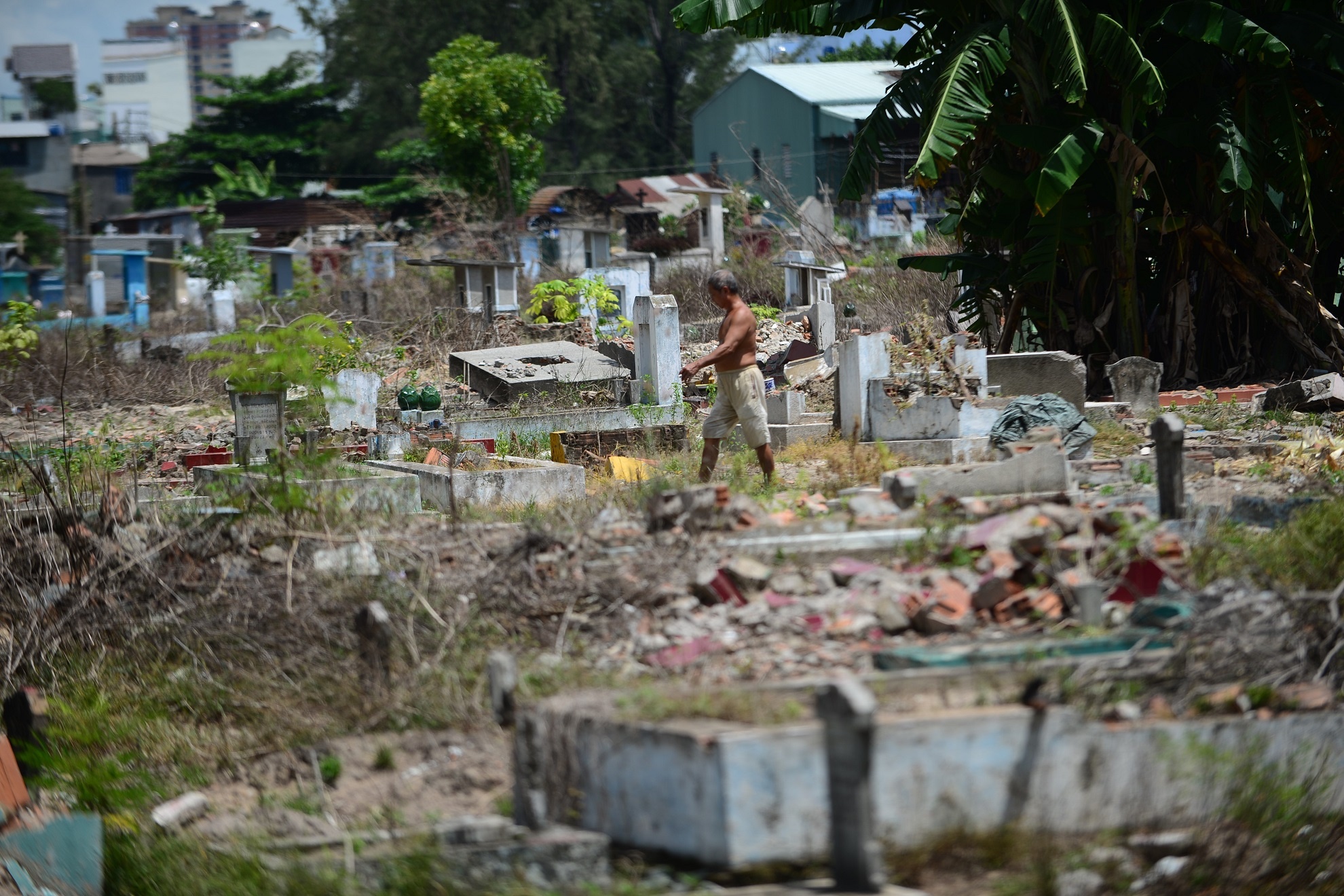 Nghia trang Binh Hung Hoa anh 11