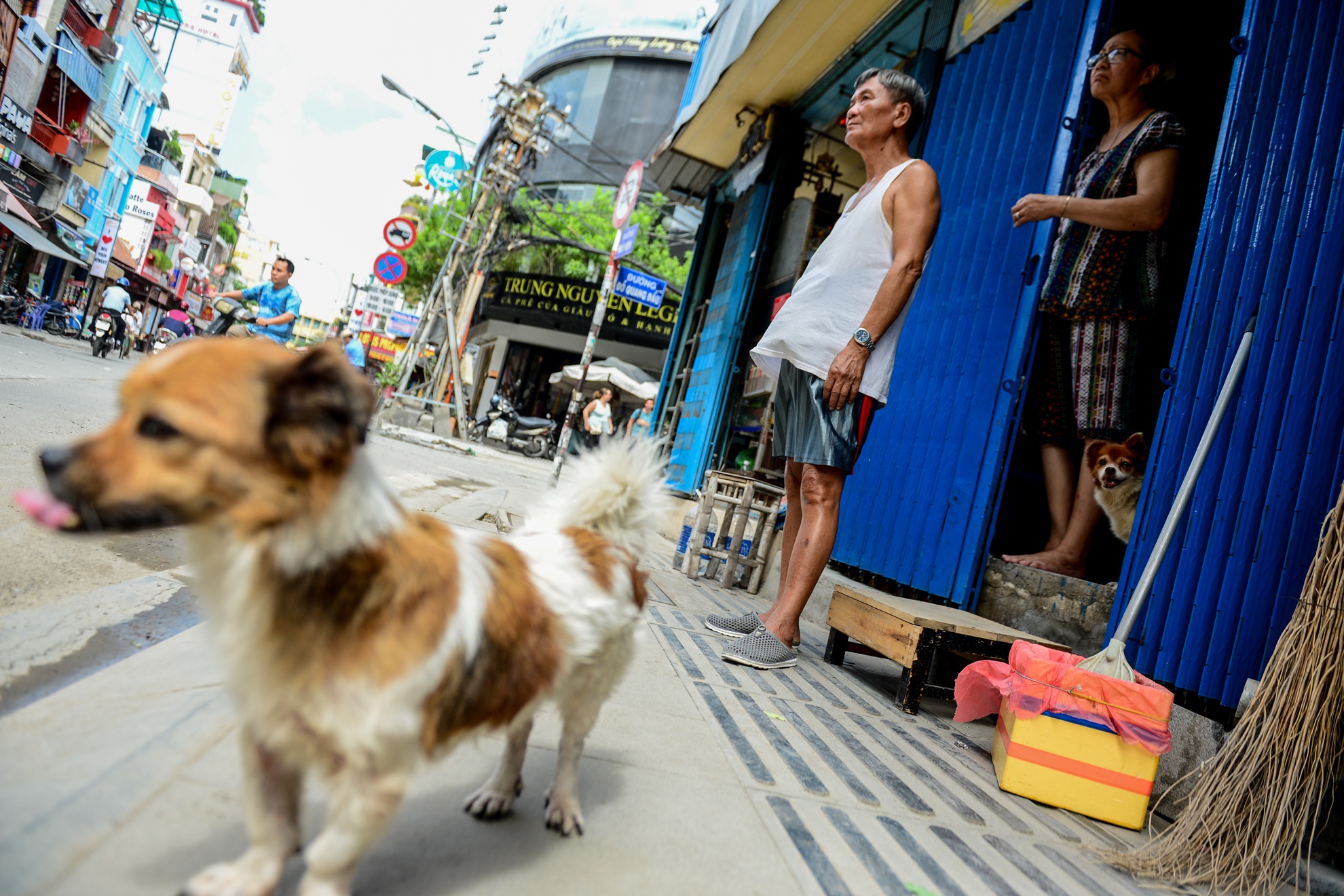 Pho di bo Bui Vien anh 5