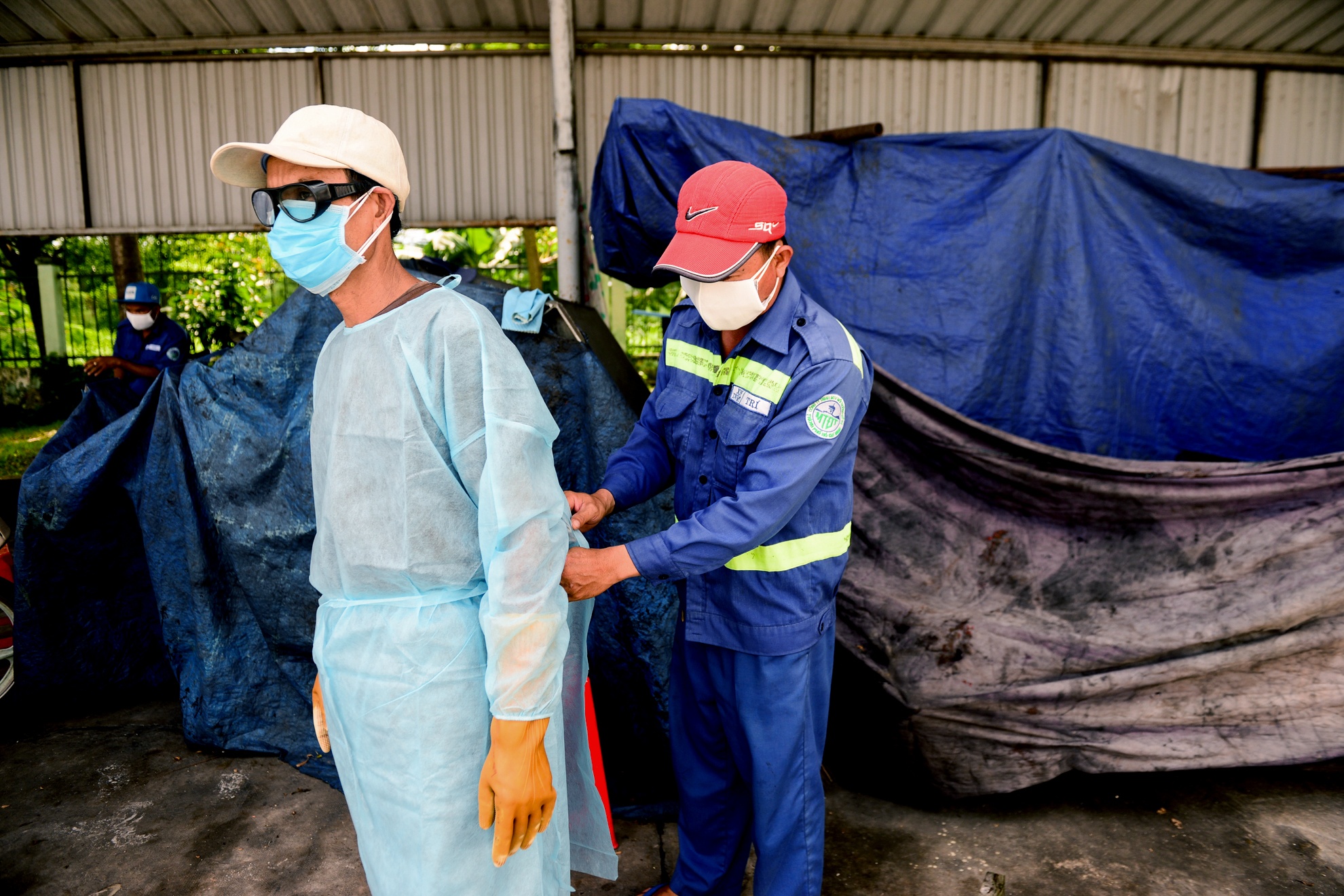 Heo bi tiem thuoc an than anh 2