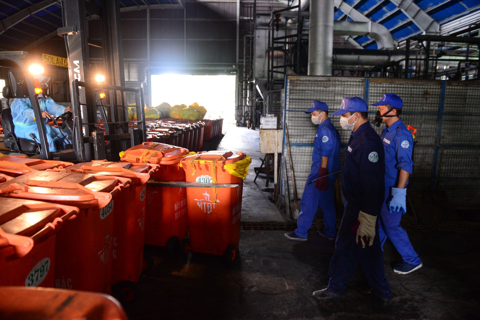 Heo bi tiem thuoc an than anh 8