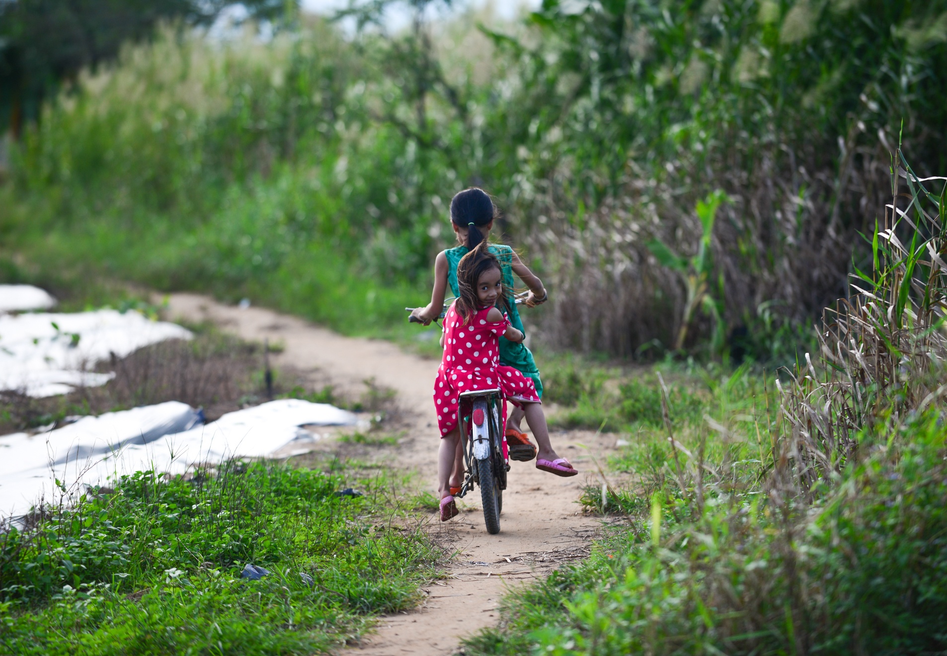 Dan ngu cu Sai thanh phat hoang dat nong nghiep lam ray hinh anh