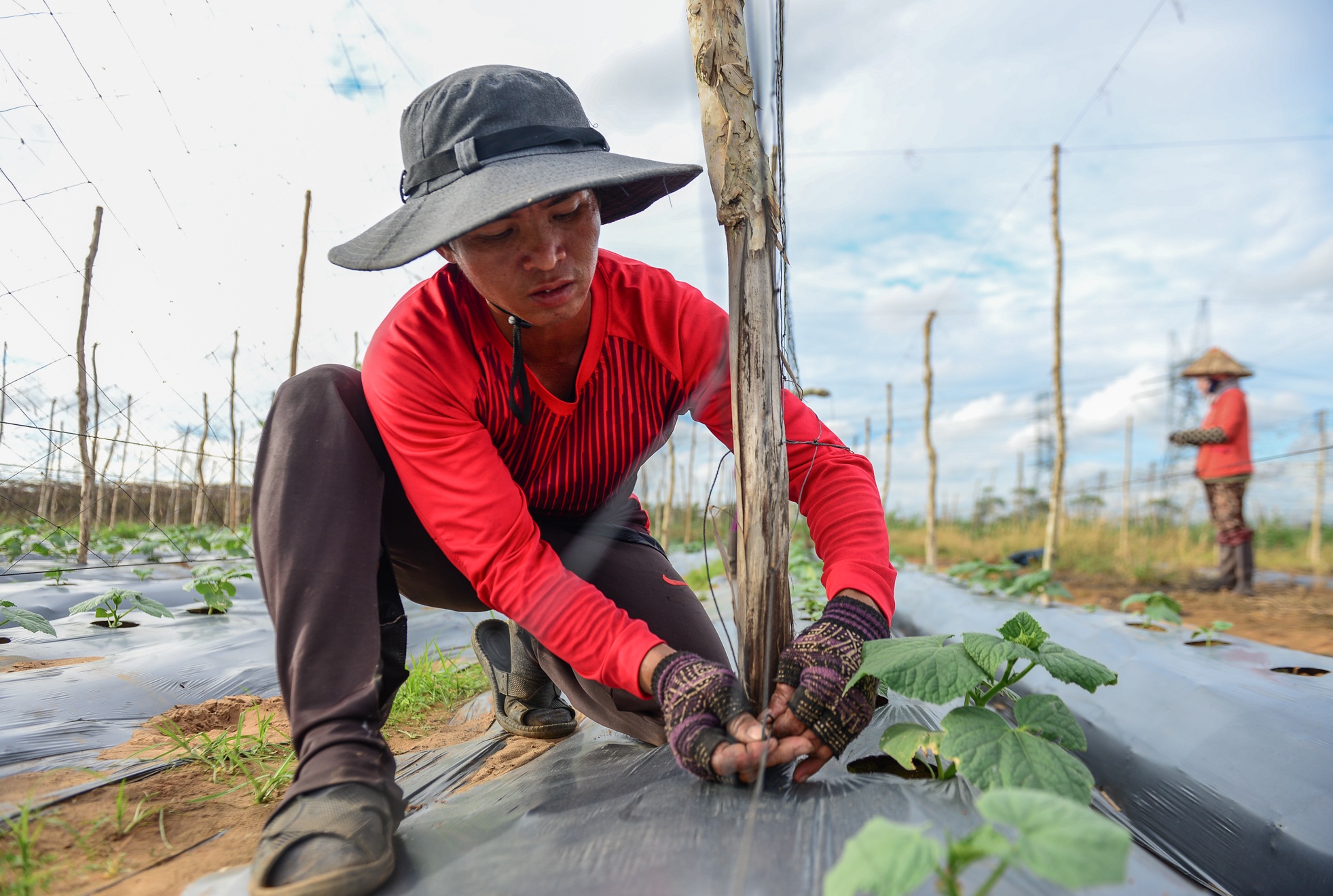 Xóm rẫy Sài Gòn ảnh 5 Xom ray Sai Gon anh 5