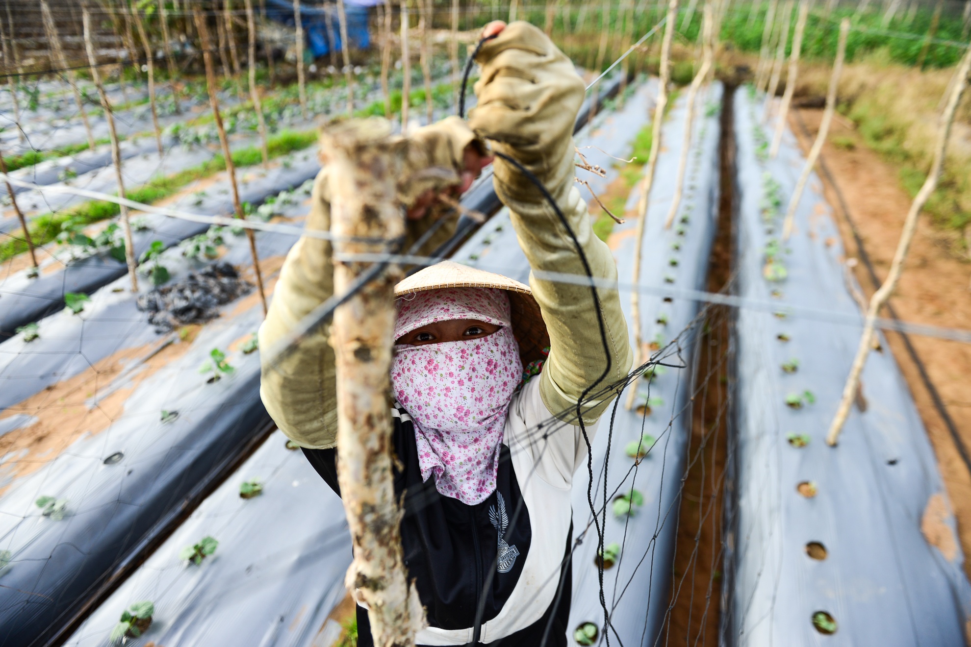 Xóm rẫy Sài Gòn ảnh 2 Xom ray Sai Gon anh 2