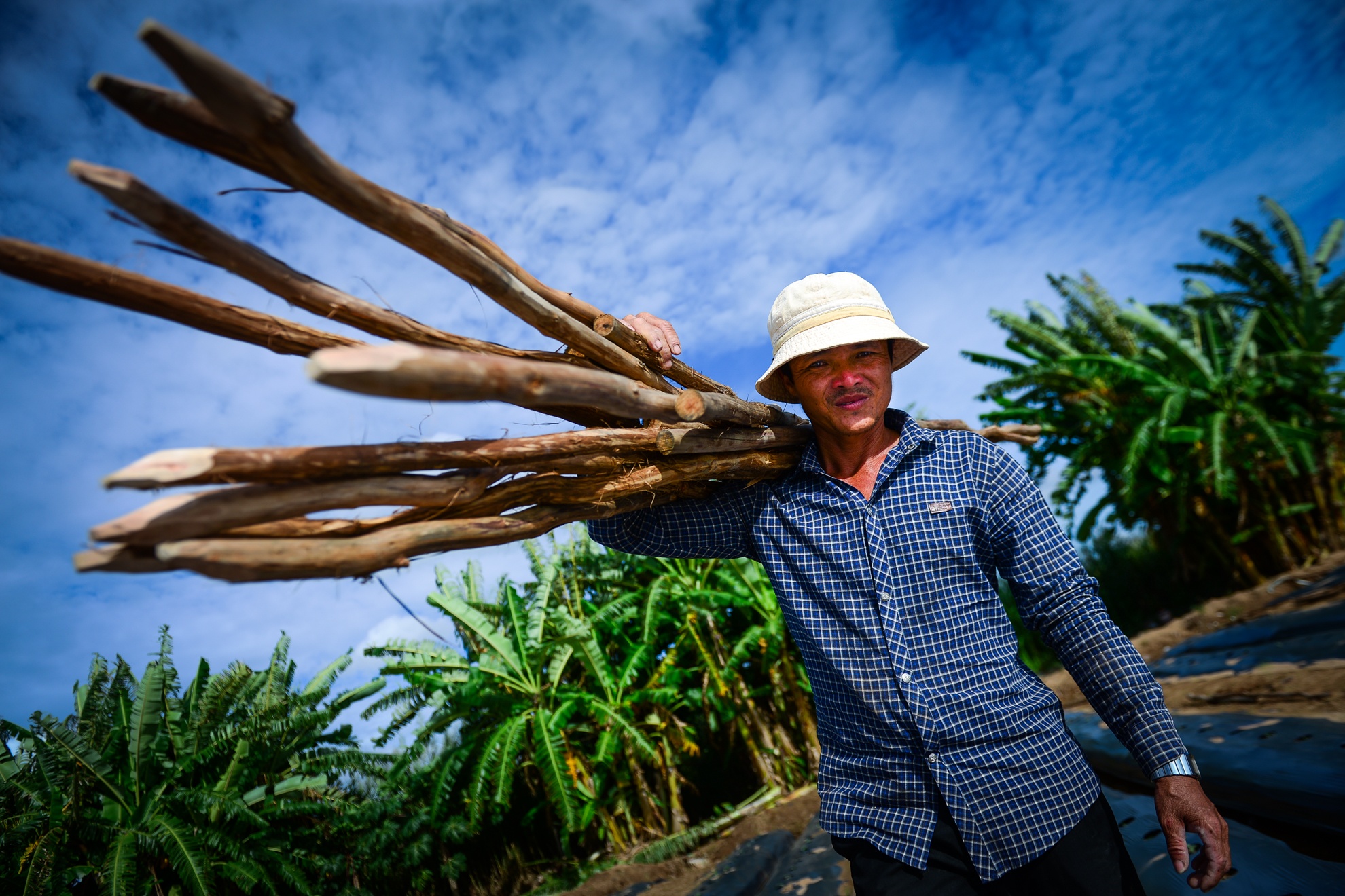 Bo que len Sai Gon lam ray hinh anh