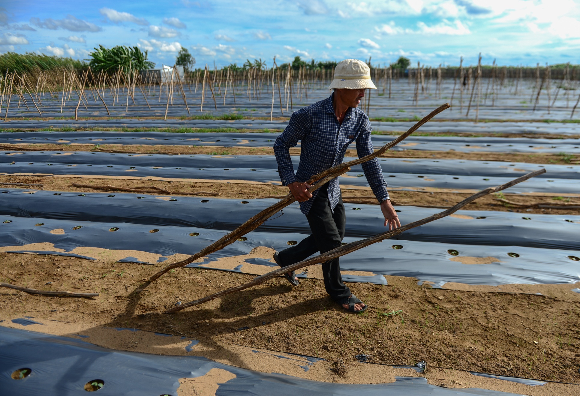 Xóm rẫy Sài Gòn ảnh 3 Xom ray Sai Gon anh 3