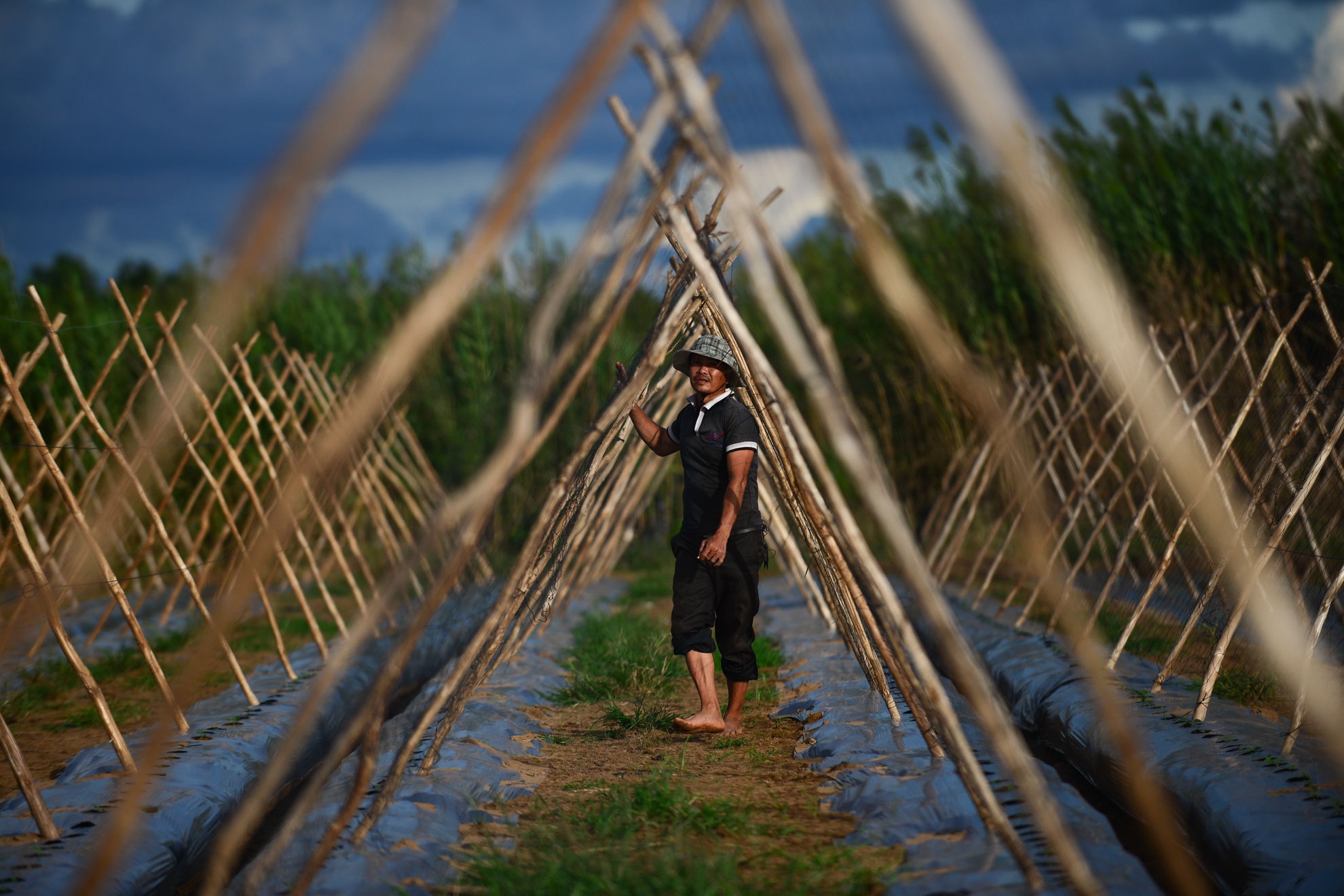 Xóm rẫy Sài Gòn ảnh 4 Xom ray Sai Gon anh 4