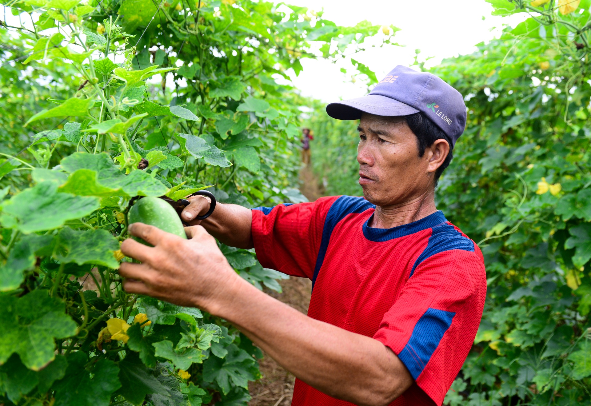 Xóm rẫy Sài Gòn ảnh 6 Xom ray Sai Gon anh 6