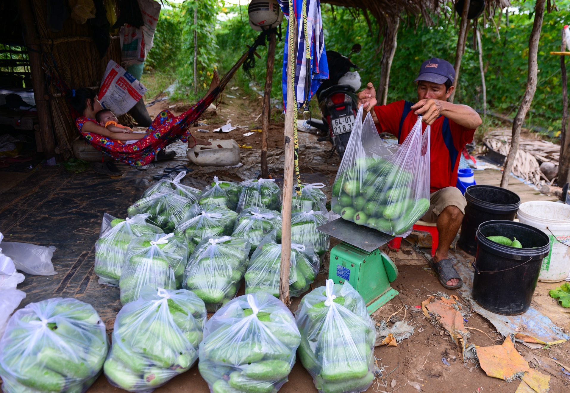 Xóm rẫy Sài Gòn ảnh 7 Xom ray Sai Gon anh 7