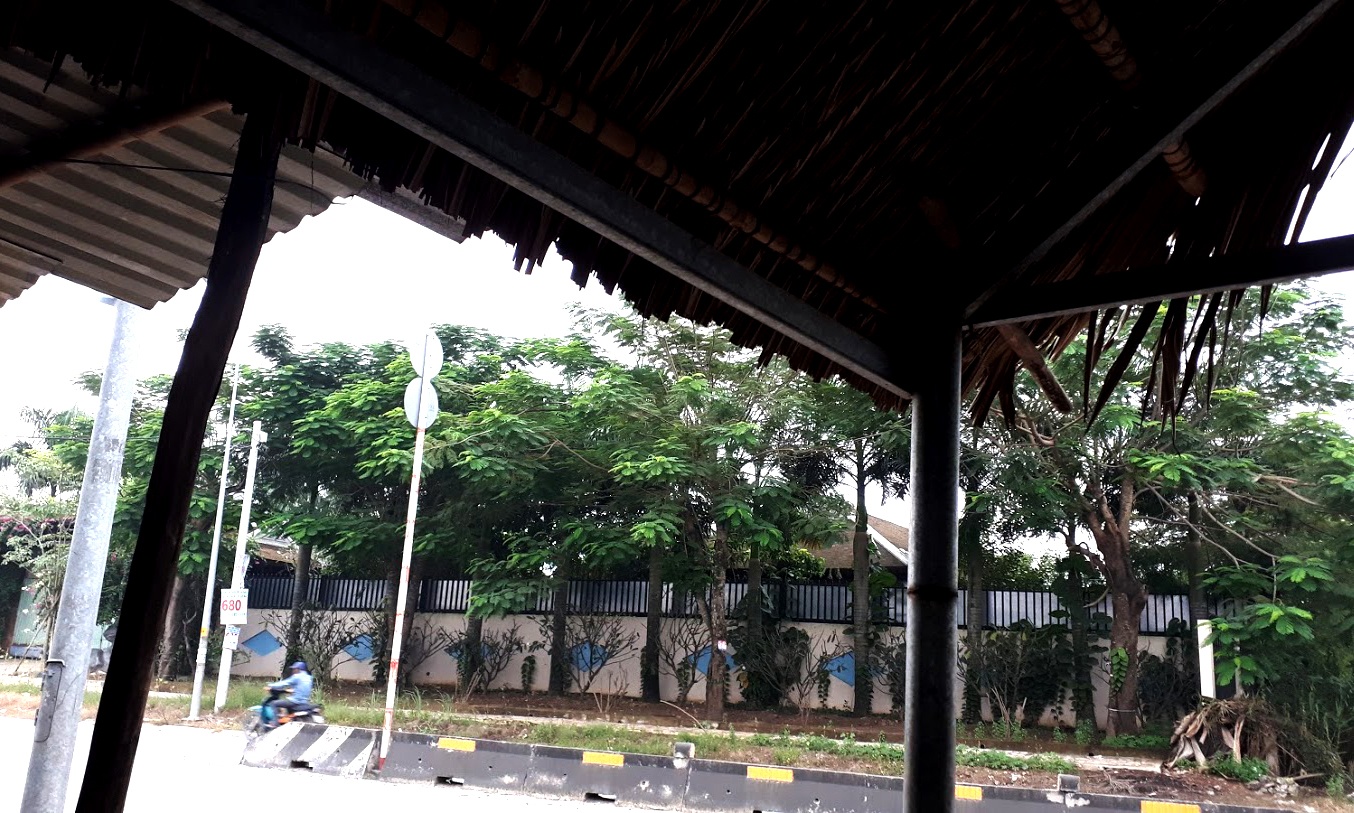 Biet phu Binh Chanh anh 8