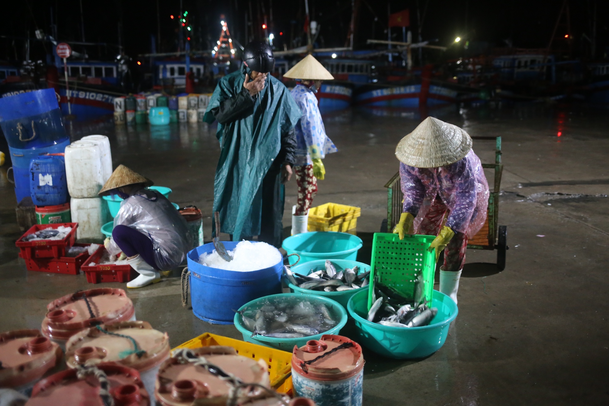 Bao so 12 Damrey anh 1