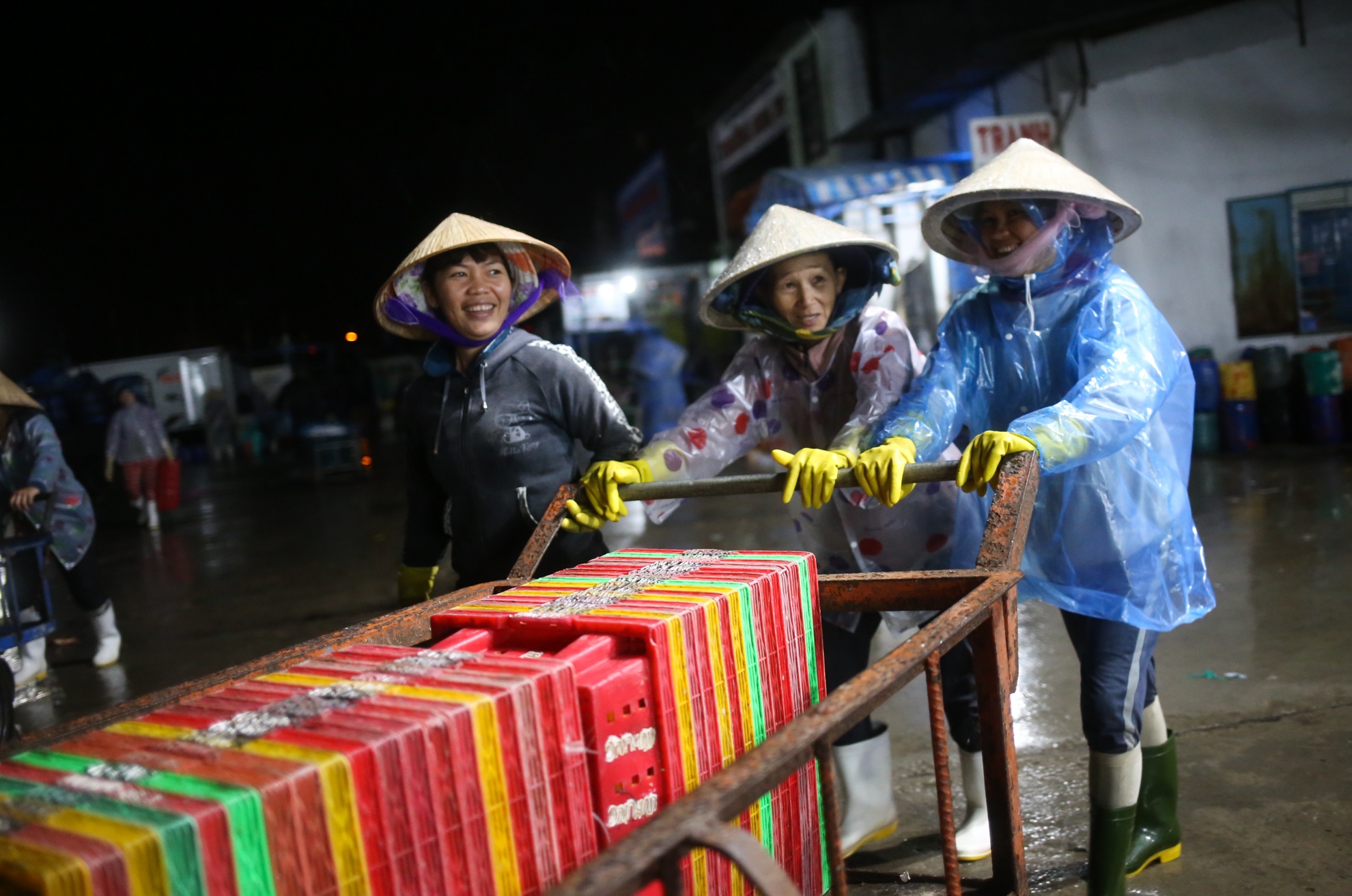 Bao so 12 Damrey anh 11