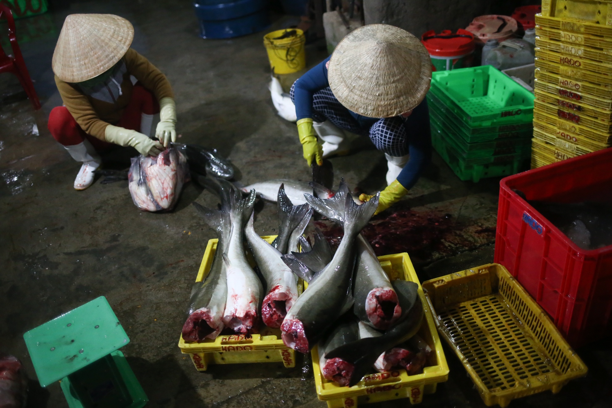 Bao so 12 Damrey anh 2