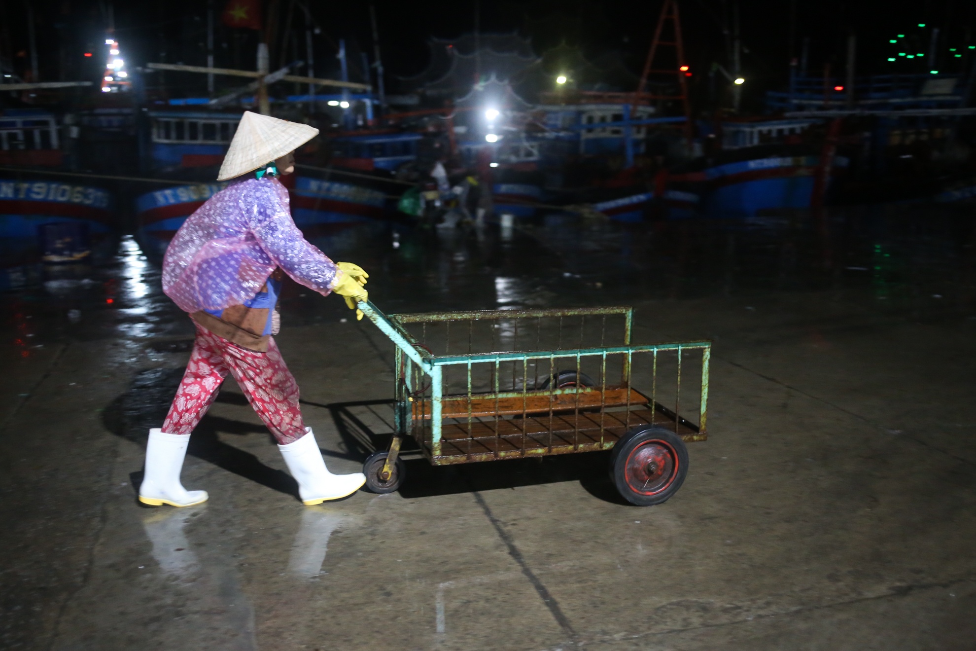 Bao so 12 Damrey anh 4