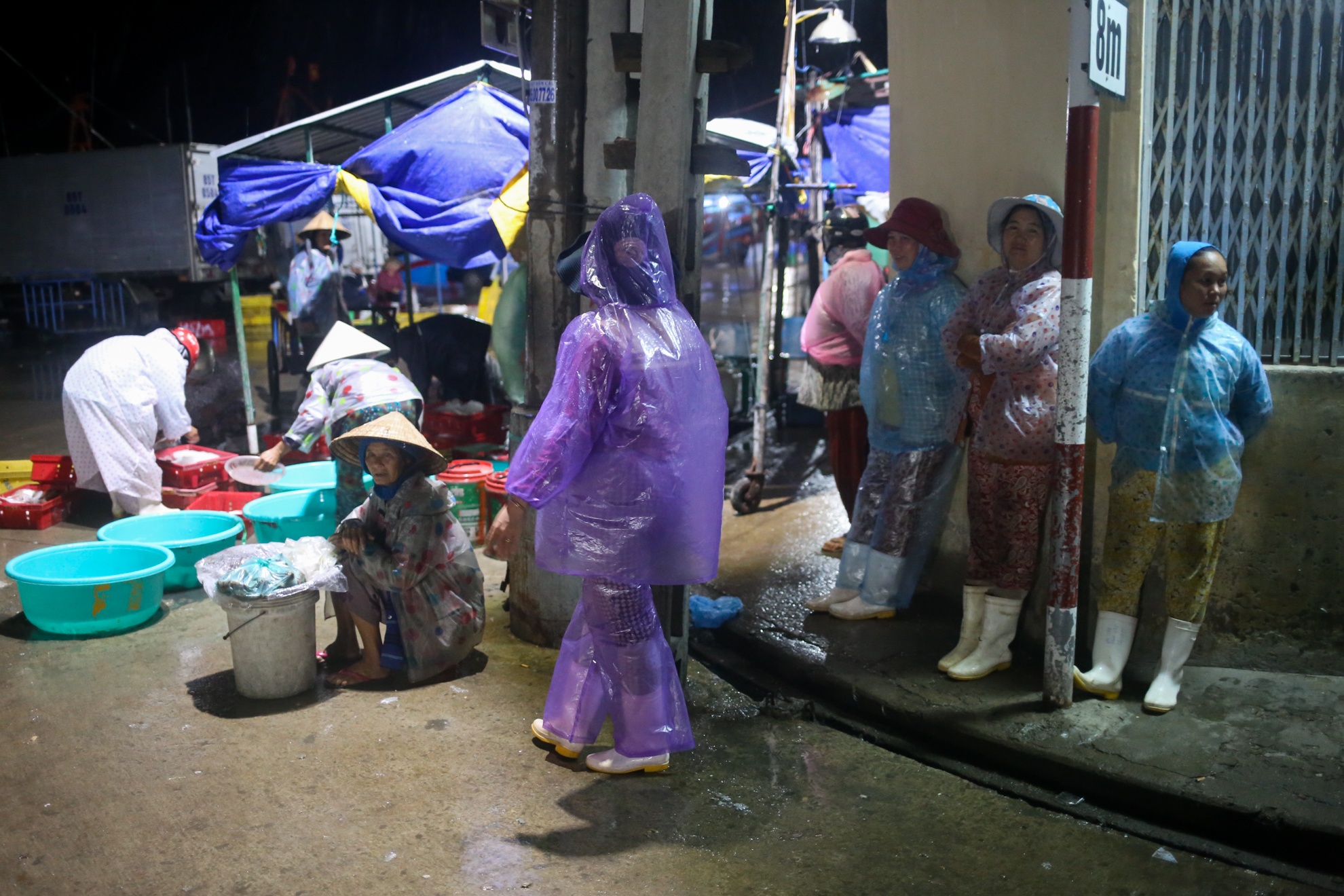 Bao so 12 Damrey anh 8