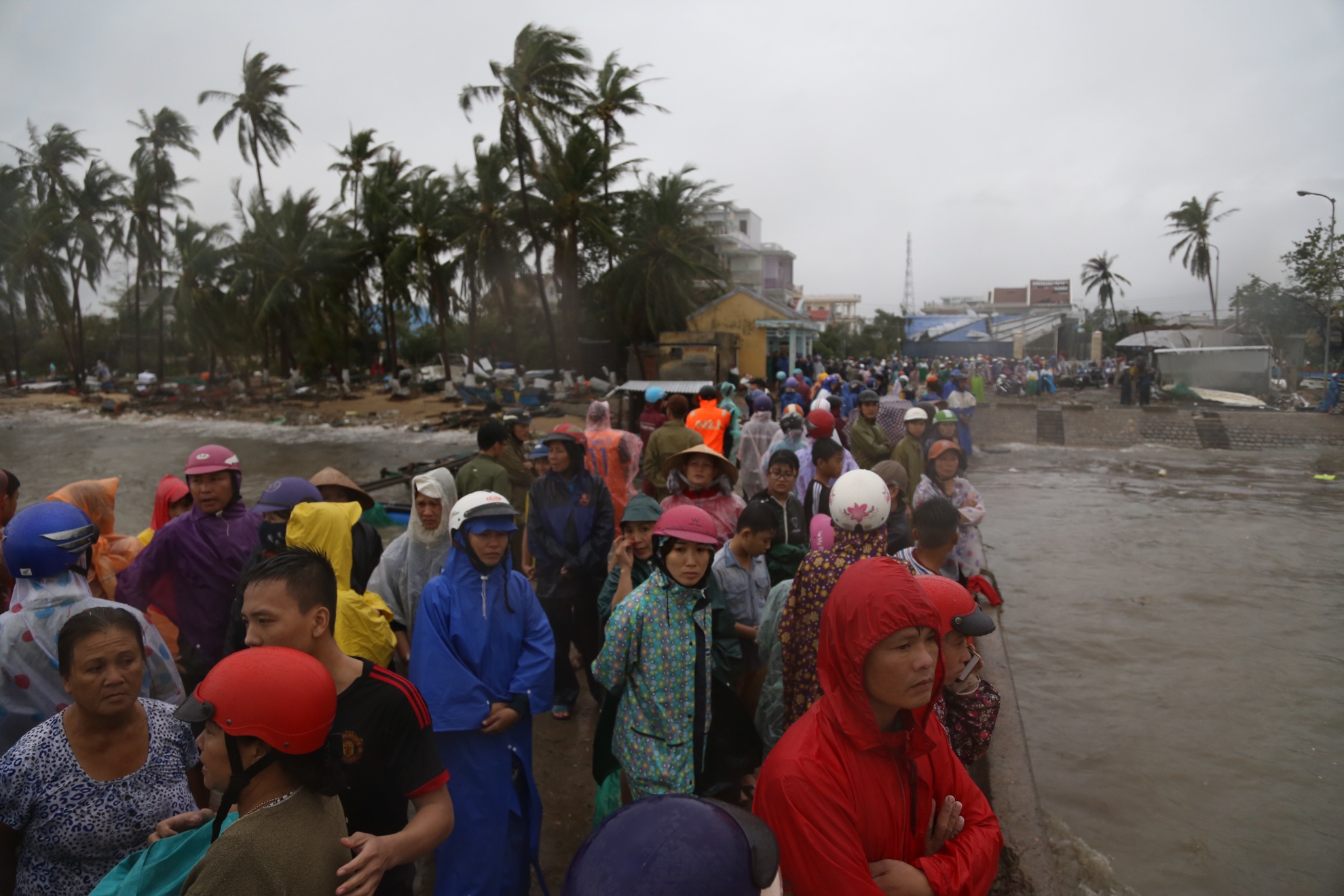 Bao so 12 - Damrey anh 1