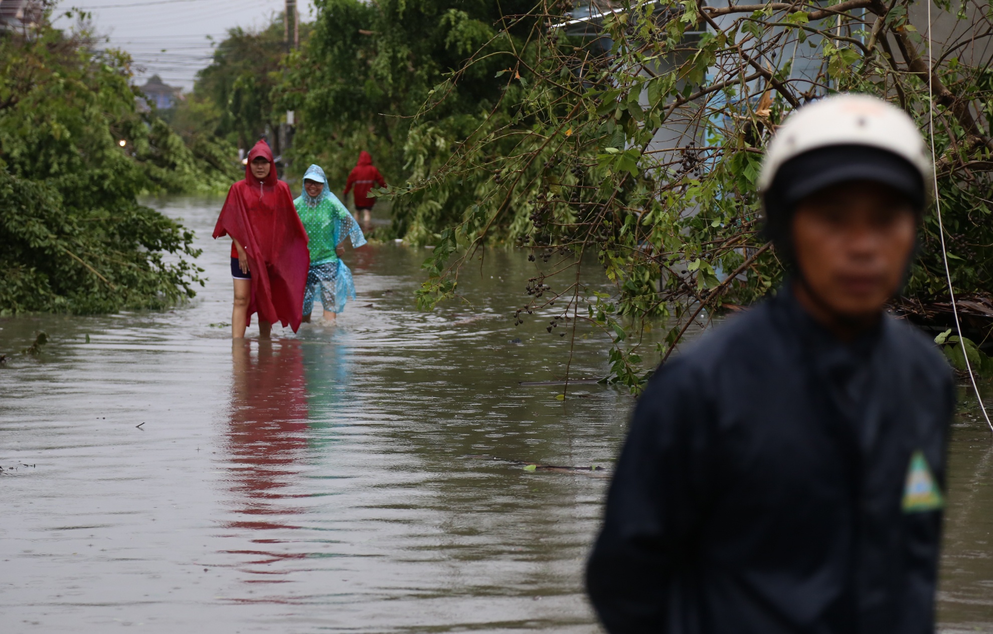 Bao so 12 - Damrey anh 12