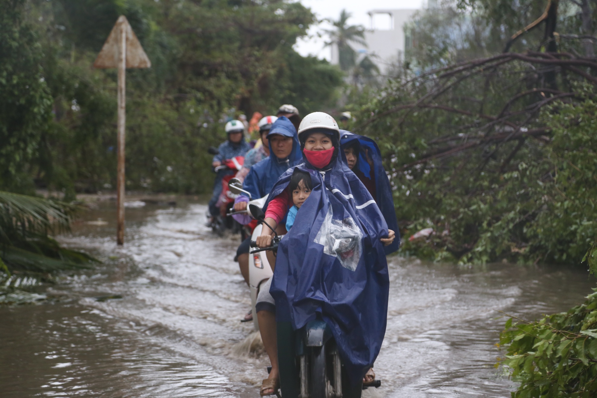 Bao so 12 - Damrey anh 13