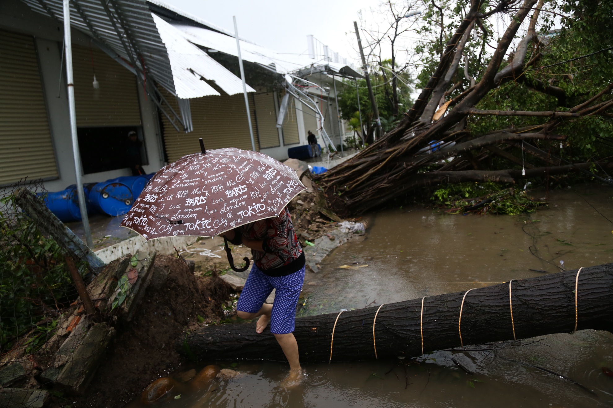 Bao so 12 - Damrey anh 15