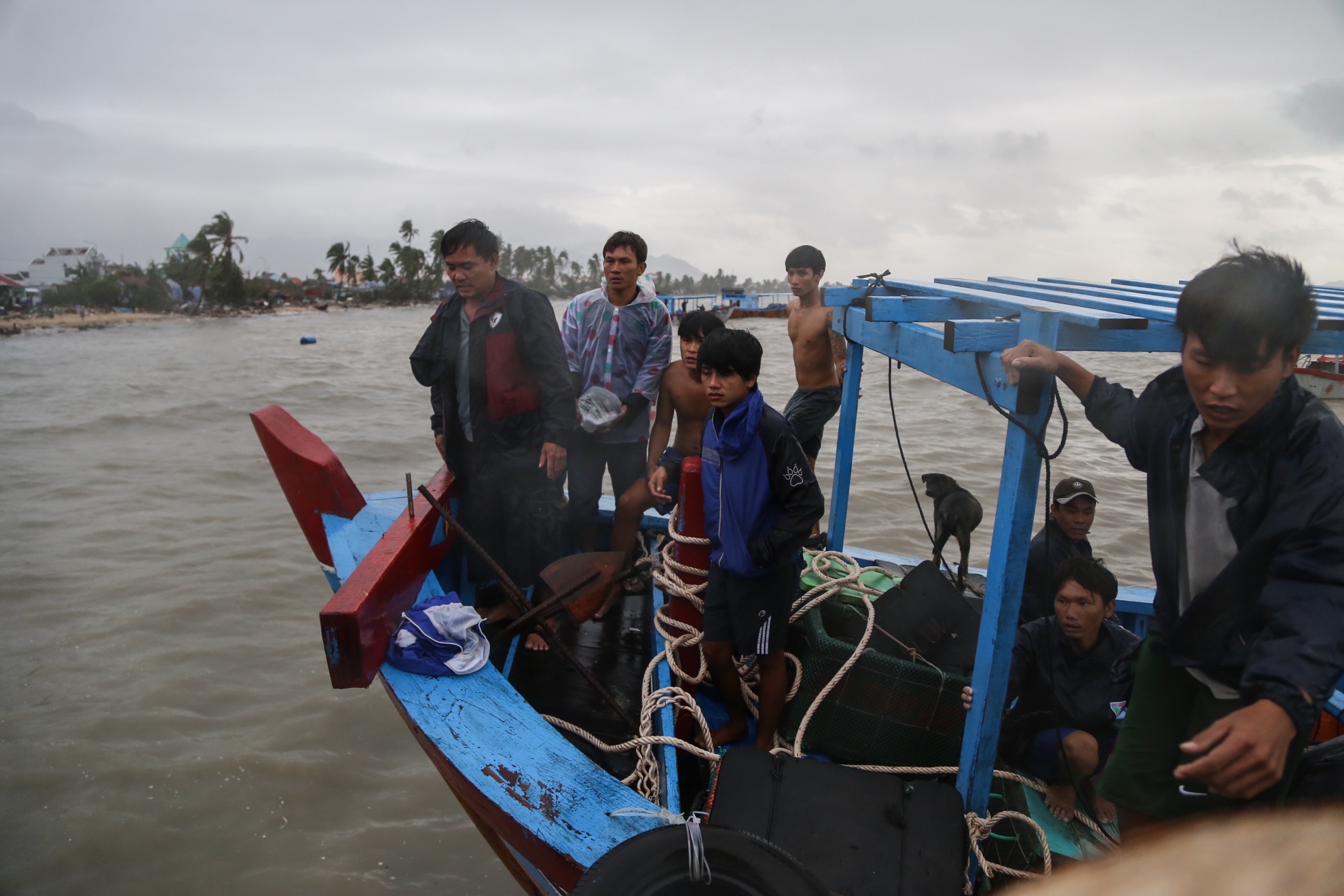 Bao so 12 - Damrey anh 5