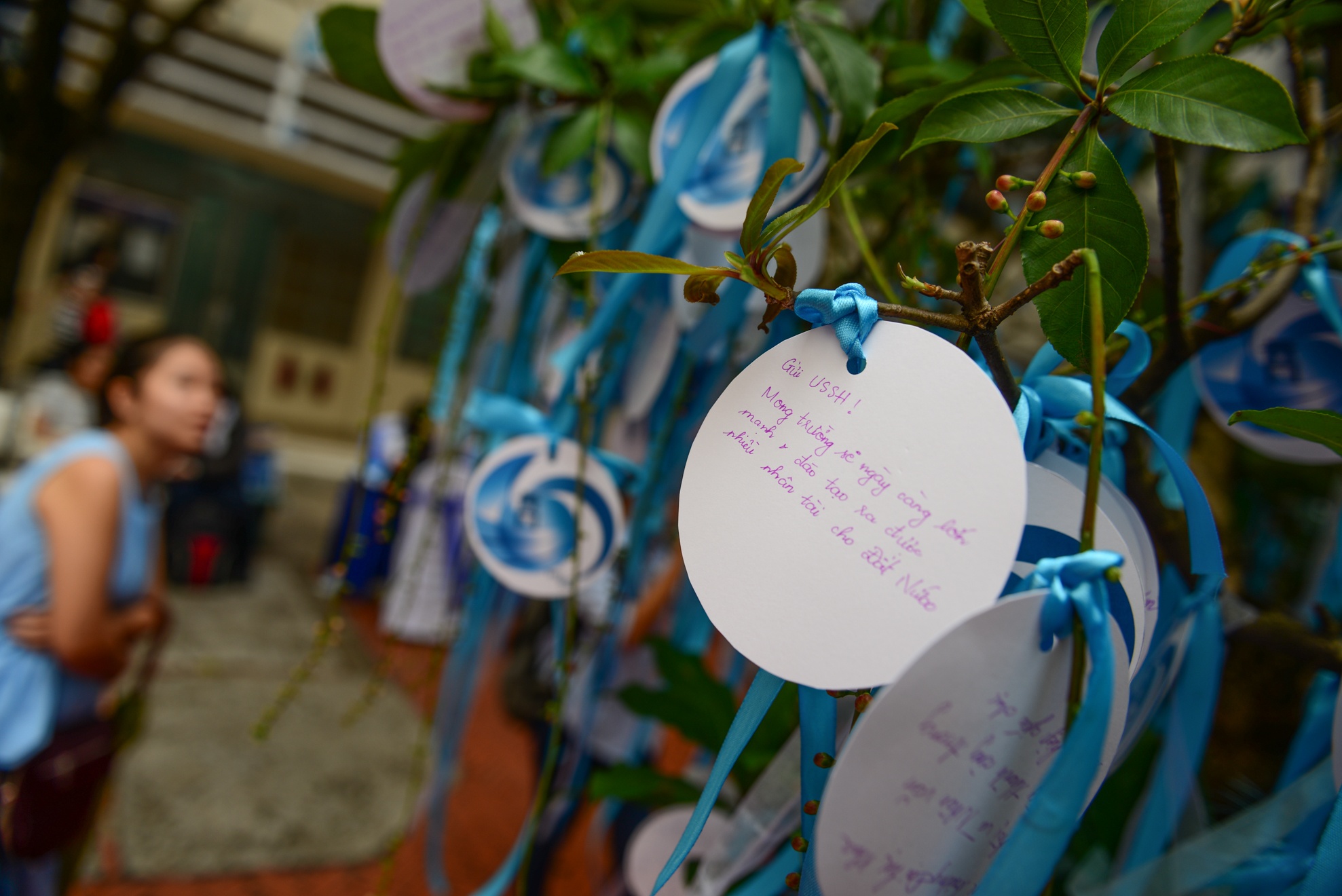 Ngay nha giao 20/11 anh 16