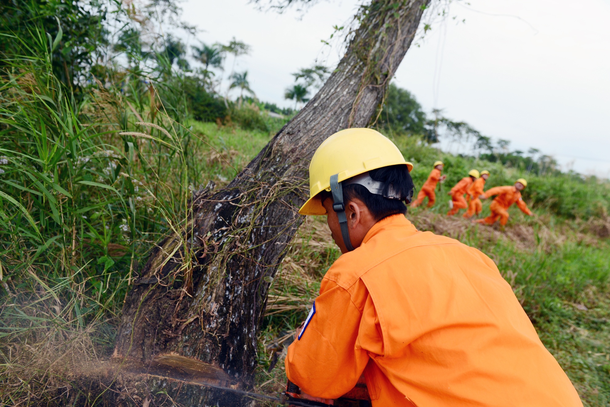 Bao so 16 Tembin anh 17