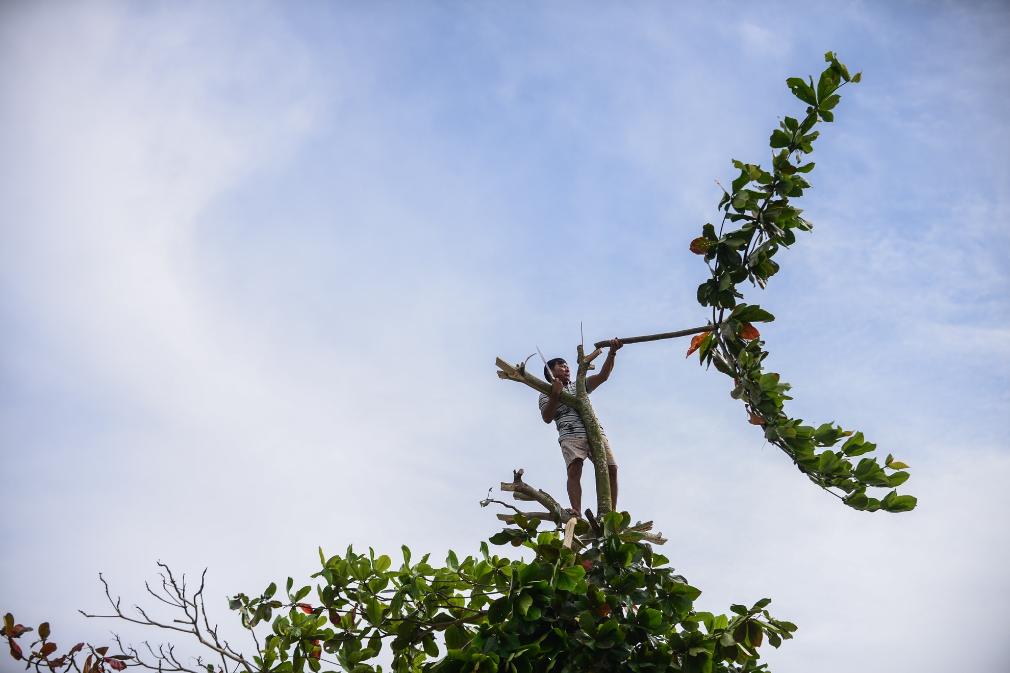 Bao so 16 Tembin anh 18