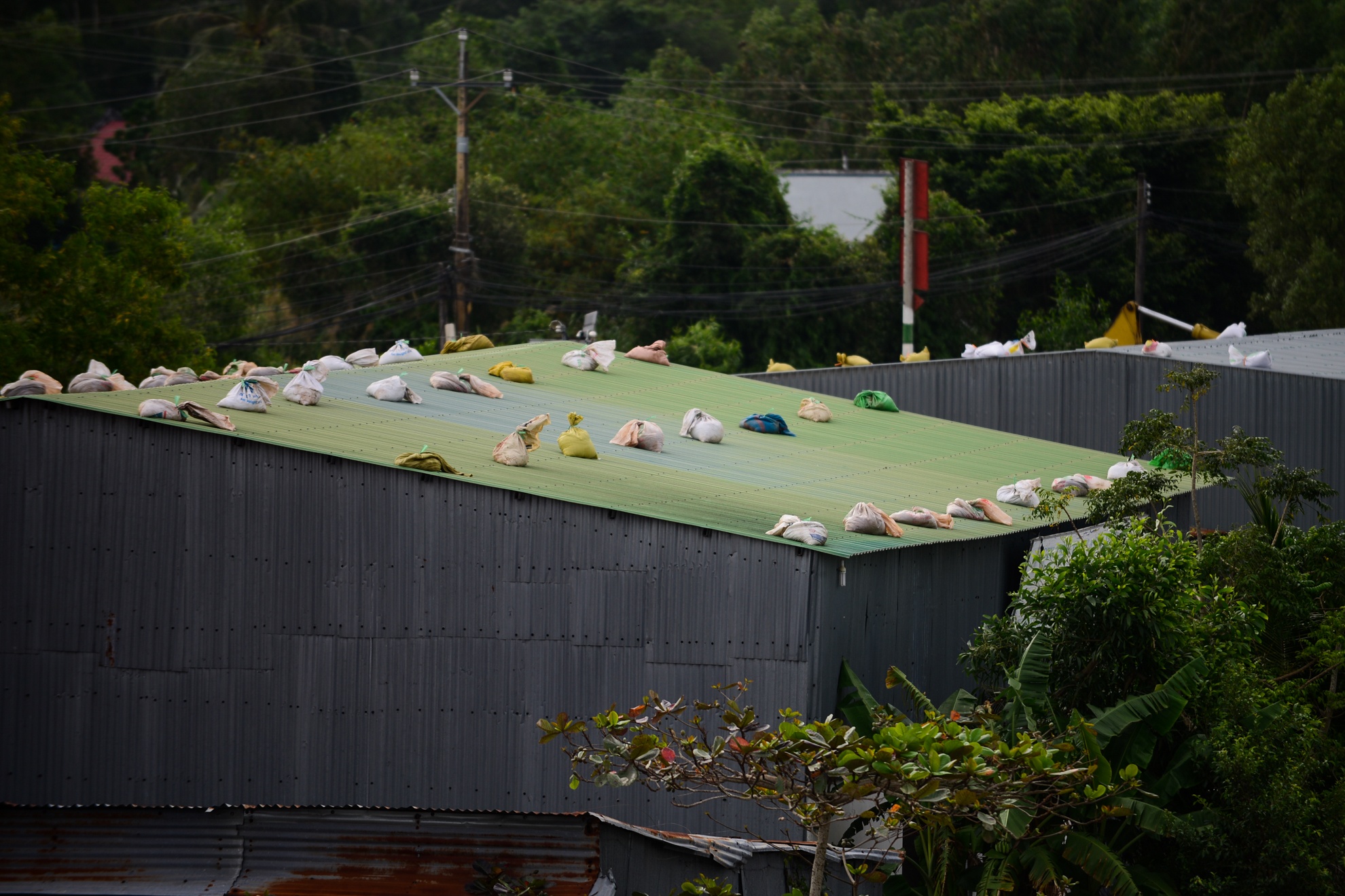 Bao so 16 Tembin anh 15