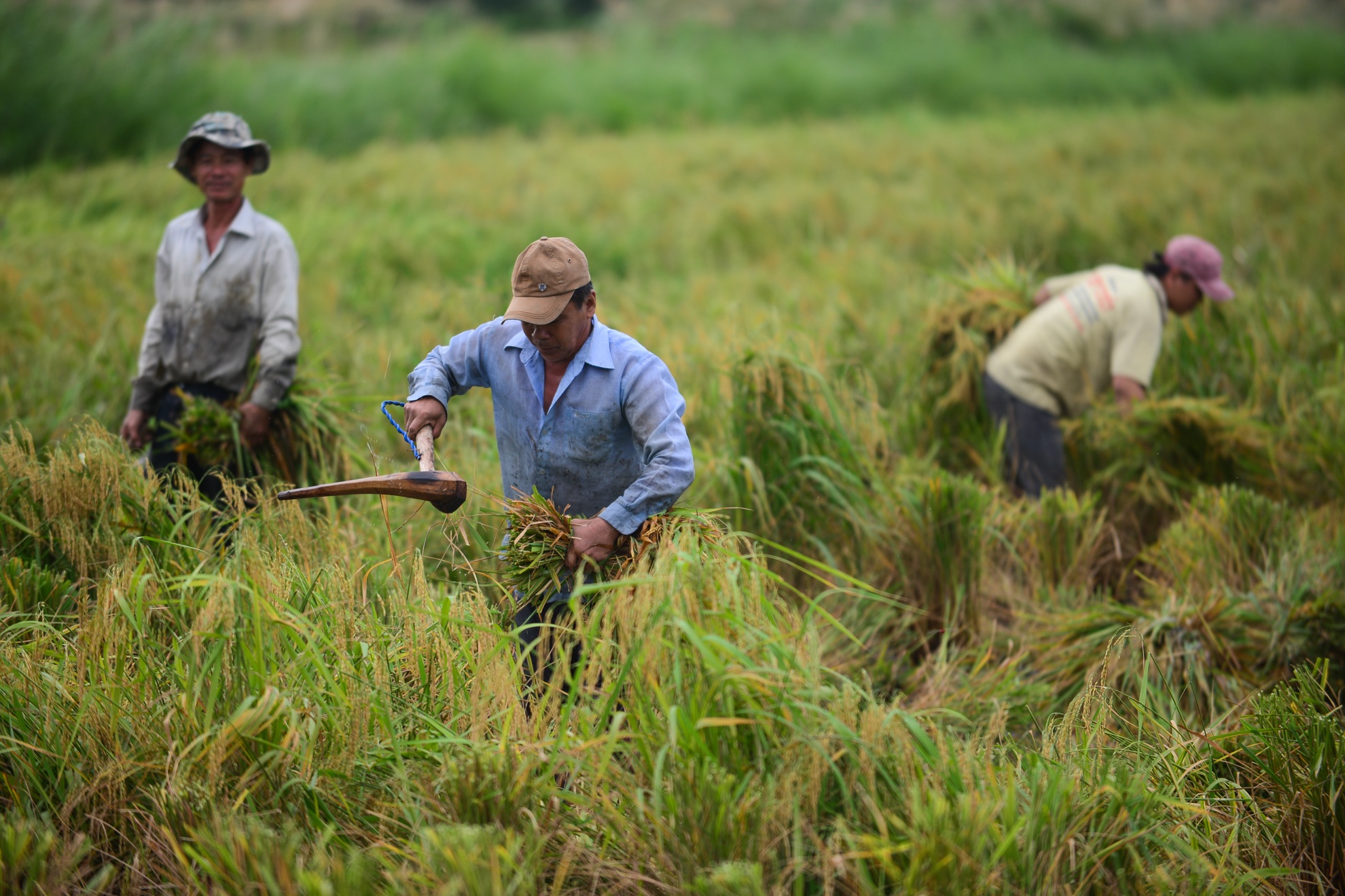 Bao so 16 Tembin anh 19