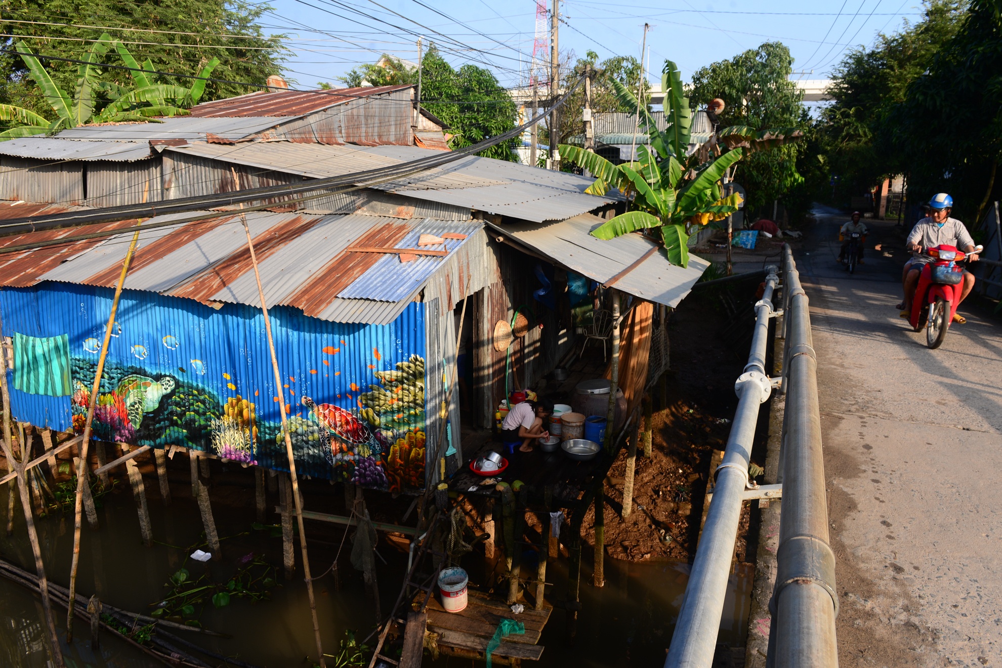 lang bich hoa dong thap anh 13
