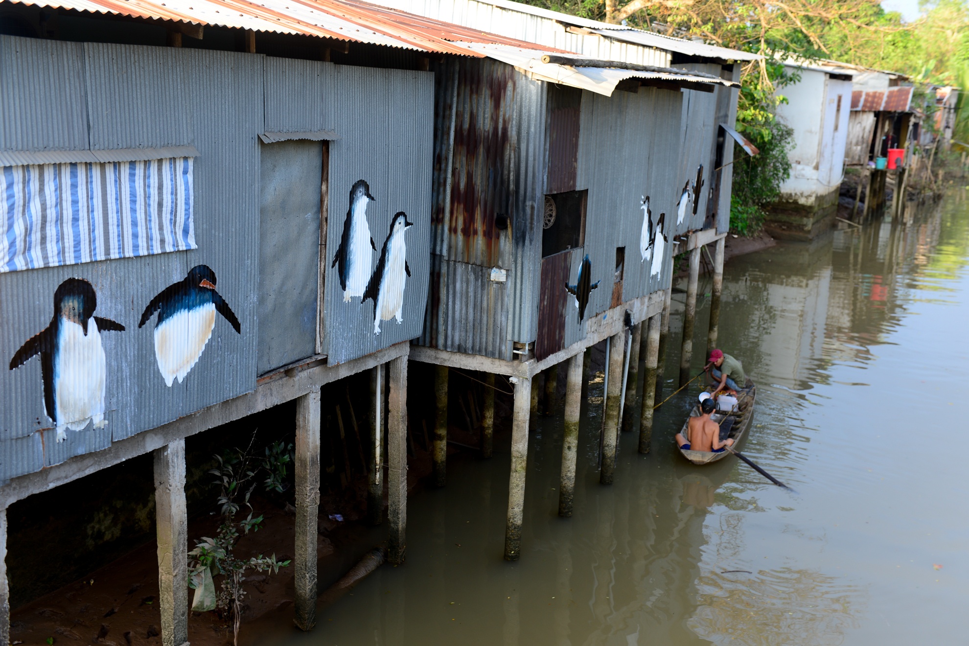 Bich hoa ben nhung ngoi nha lup xup o Dong Thap hinh anh