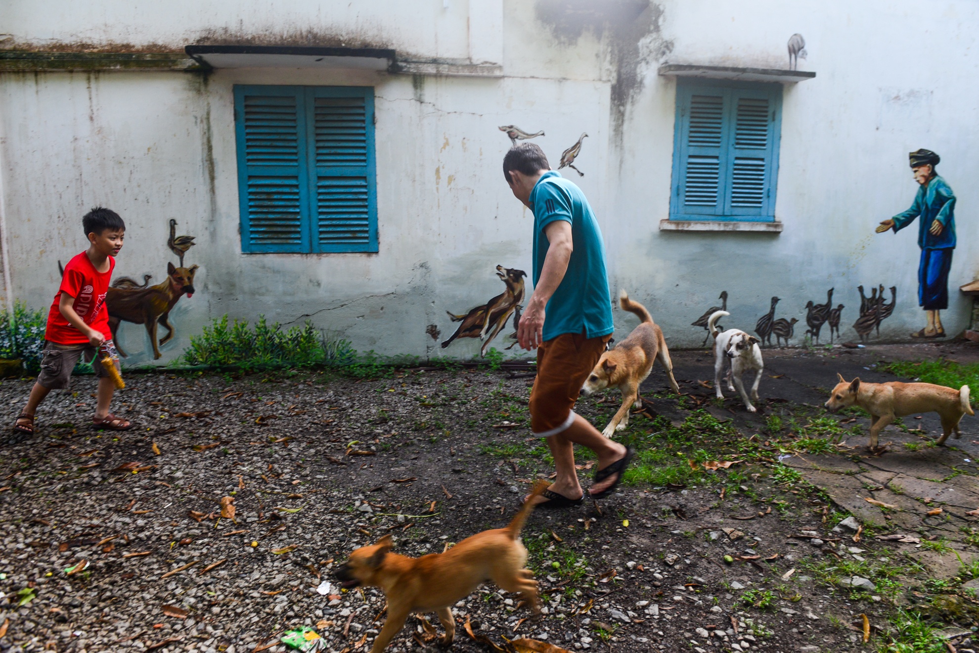 lang bich hoa dong thap anh 4