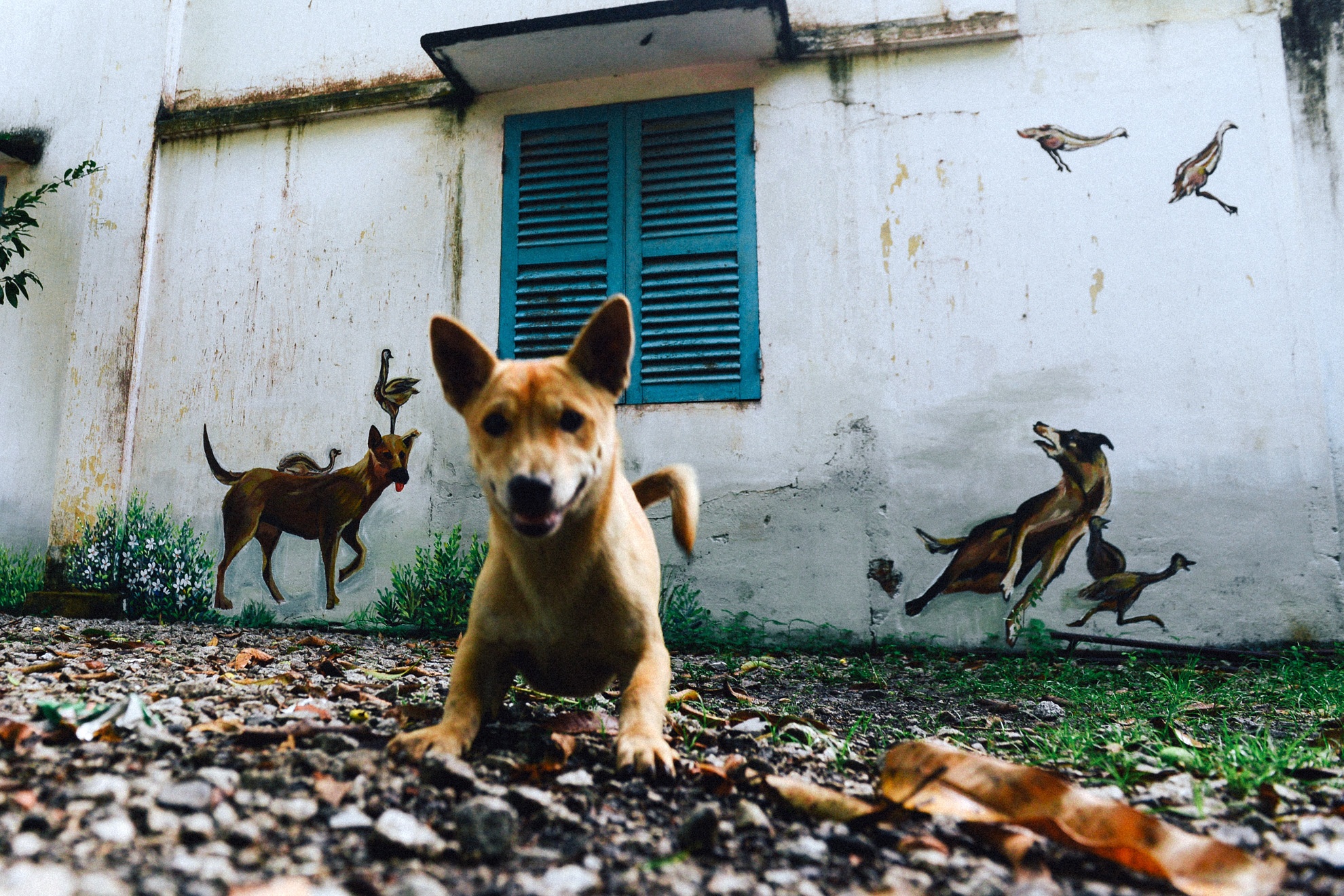 lang bich hoa dong thap anh 5