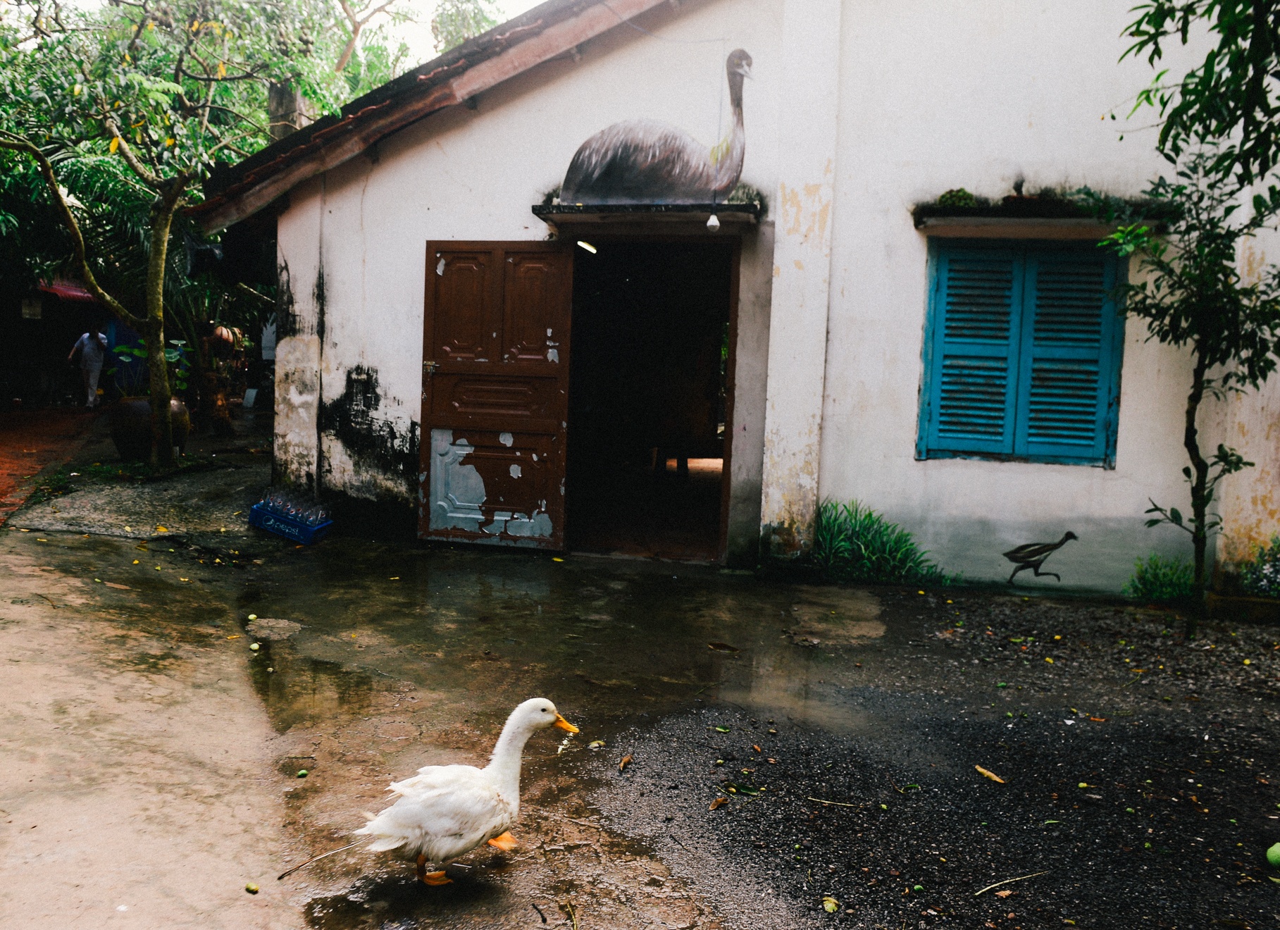 lang bich hoa dong thap anh 6