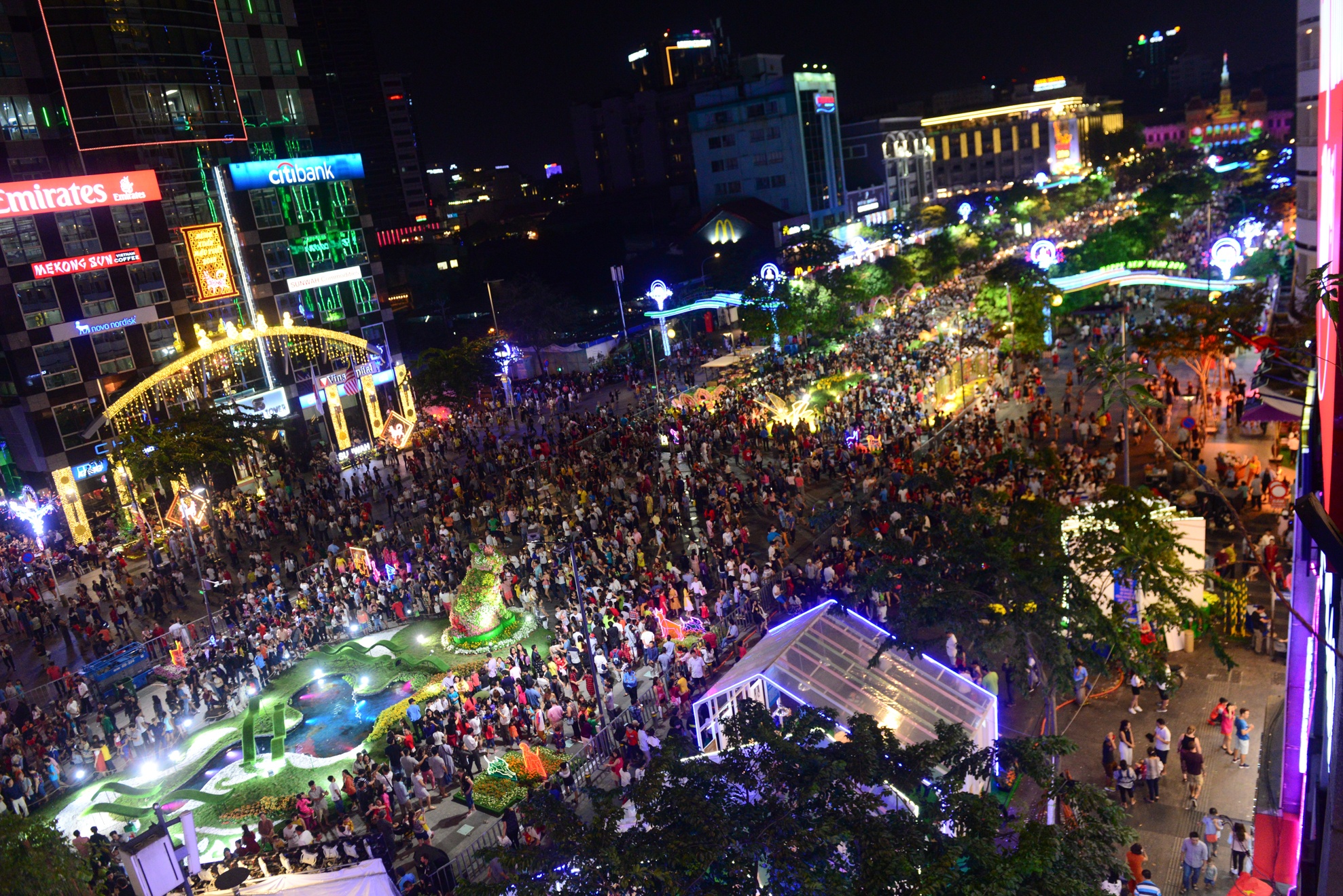 Duong hoa Nguyen Hue anh 11