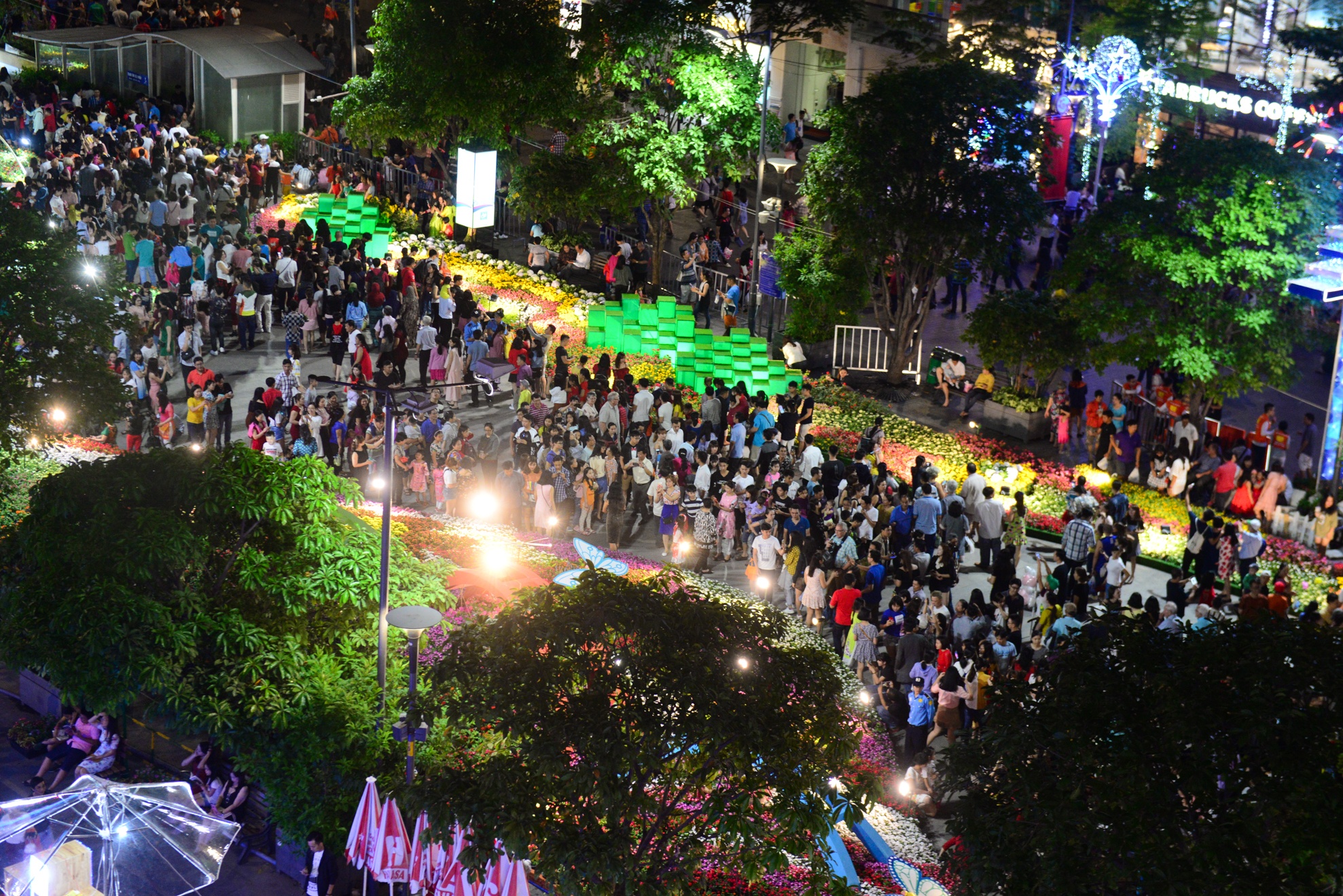 Duong hoa Nguyen Hue anh 4