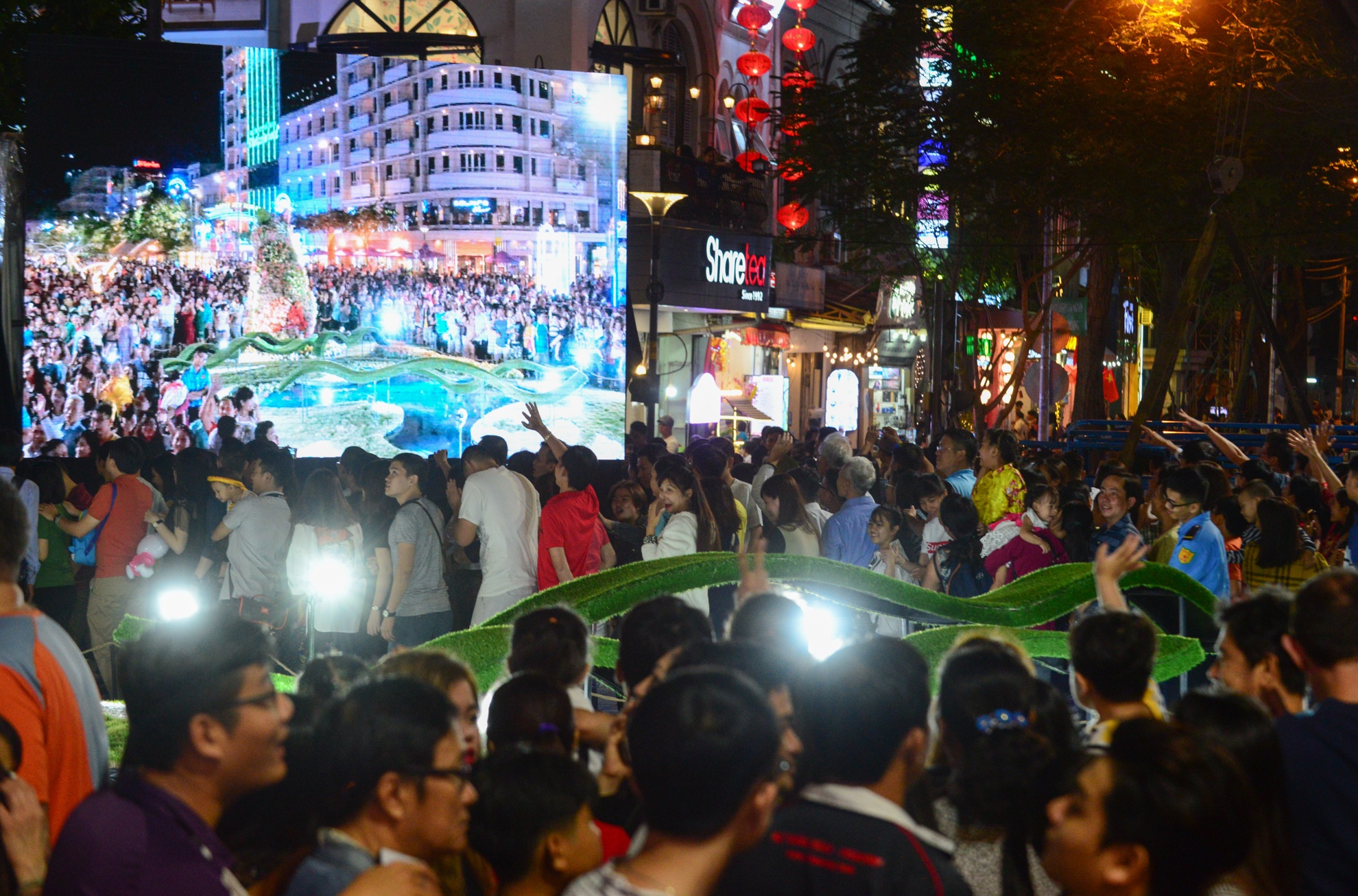 Duong hoa Nguyen Hue anh 5