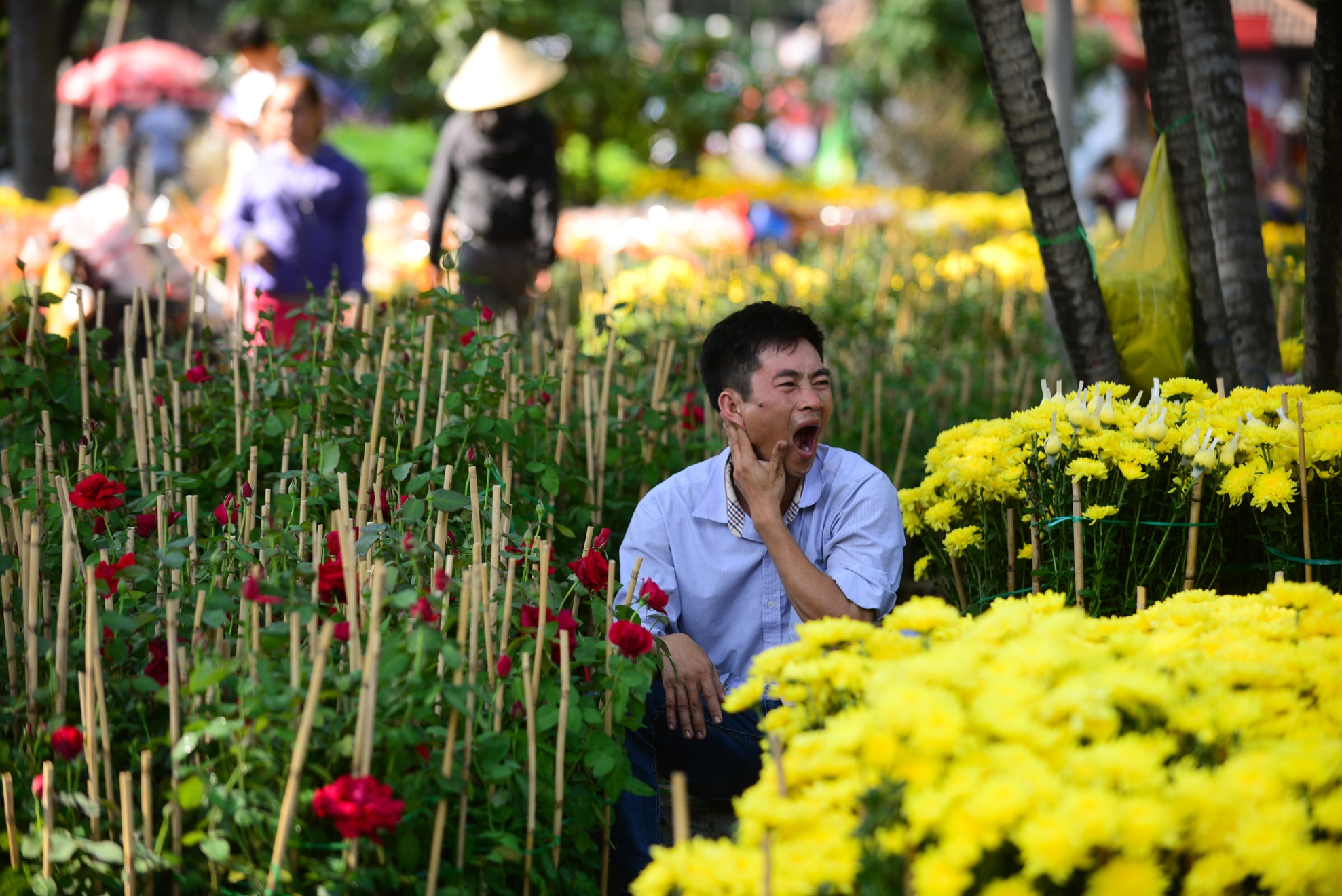 Diu hiu hoa qua chieu 29 Tet, khach mua it hon nguoi ban hinh anh