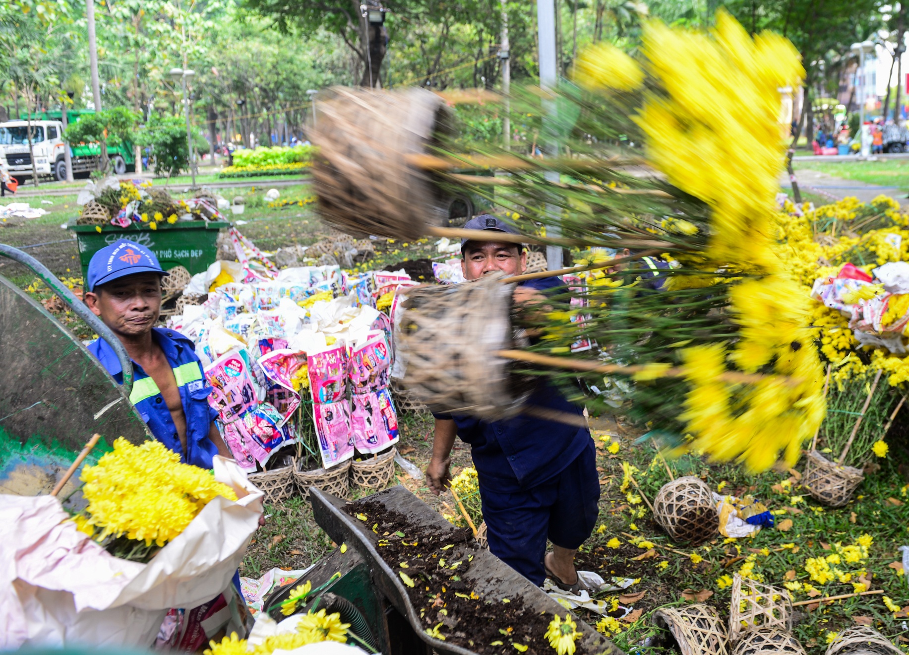 Tha dap bo hoa chieu 30 Tet con hon de bi ep gia hinh anh