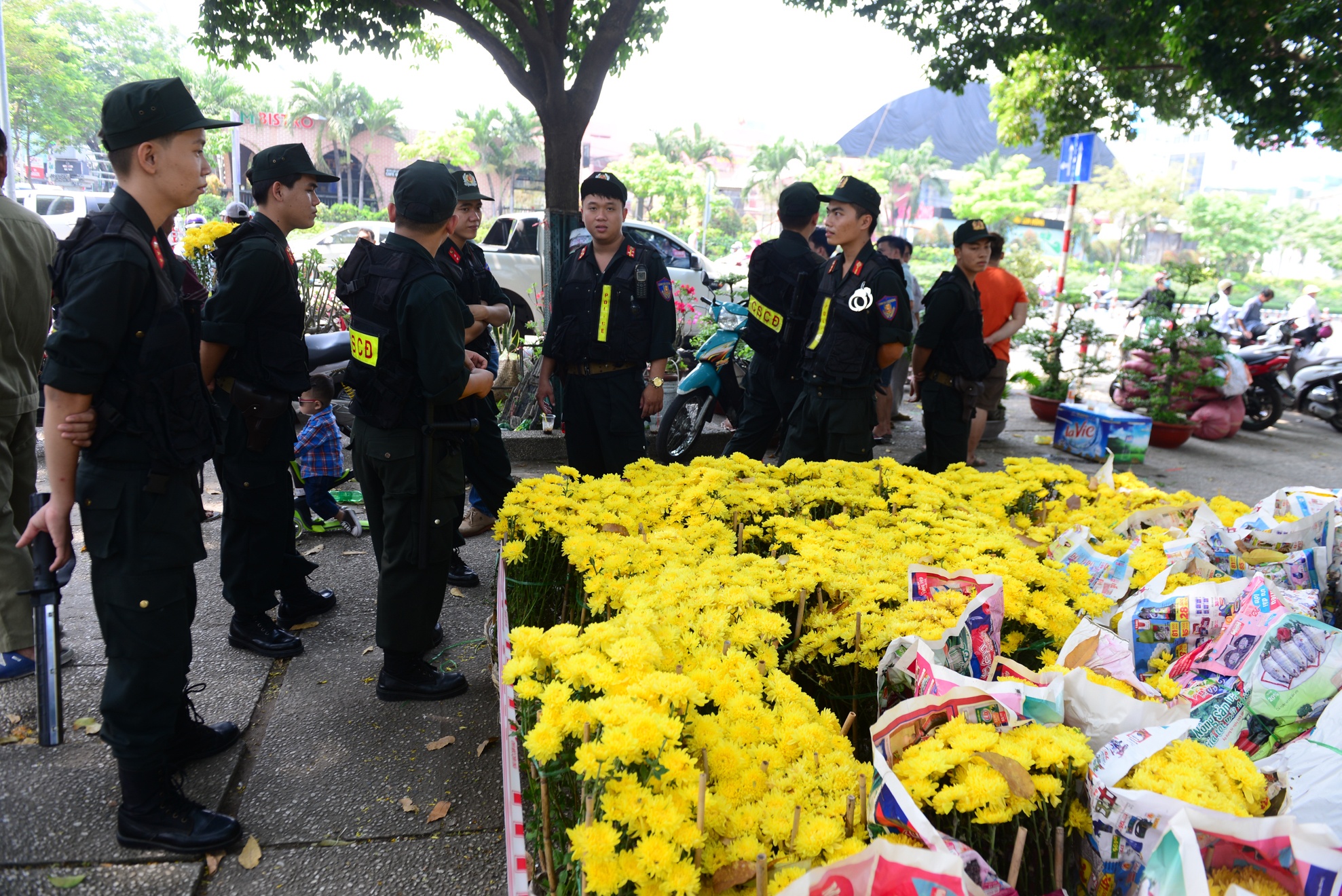 hoa tet e,  dap bo hoa tet,  hoa tet o sai gon anh 15