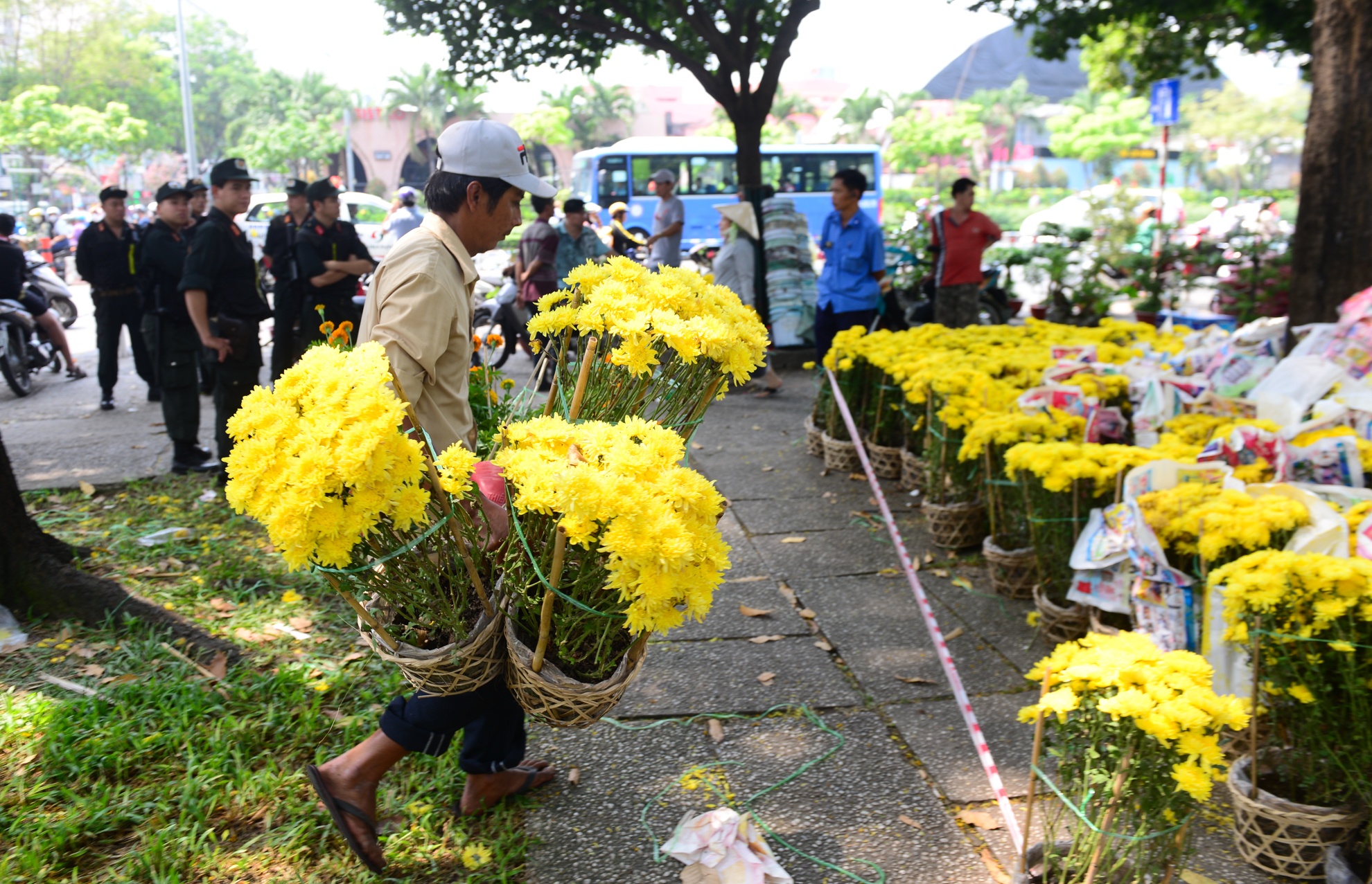 hoa tet e,  dap bo hoa tet,  hoa tet o sai gon anh 2