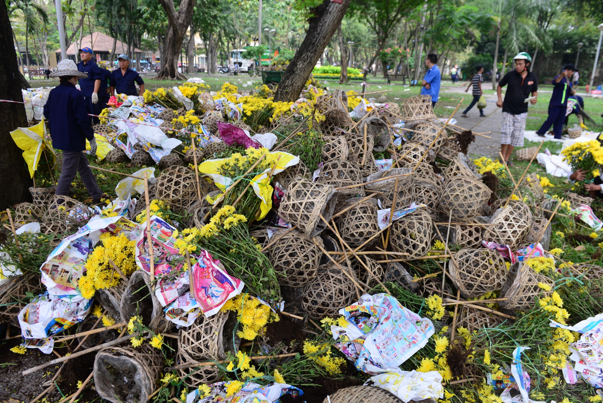 Hon 1000 chau hoa thanh rac trua 30 Tet hinh anh