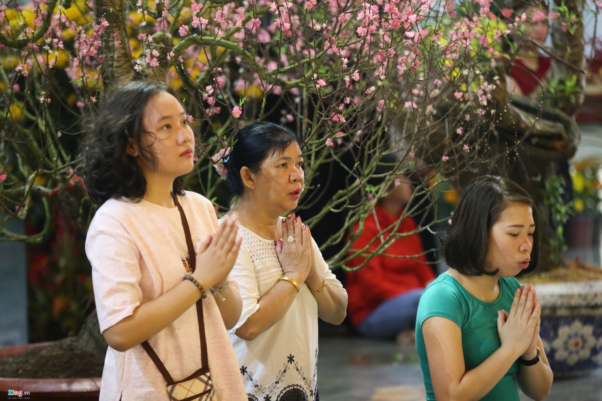 Go chuong chua anh 10