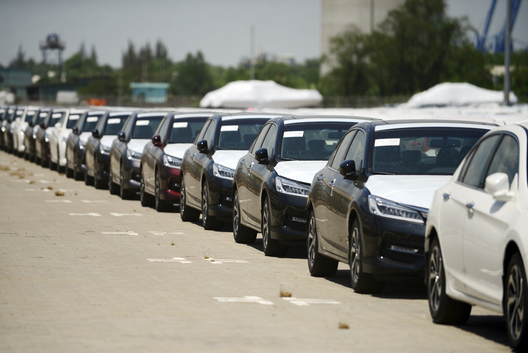 dan xe Honda mien thue dau tien cap cang anh 7