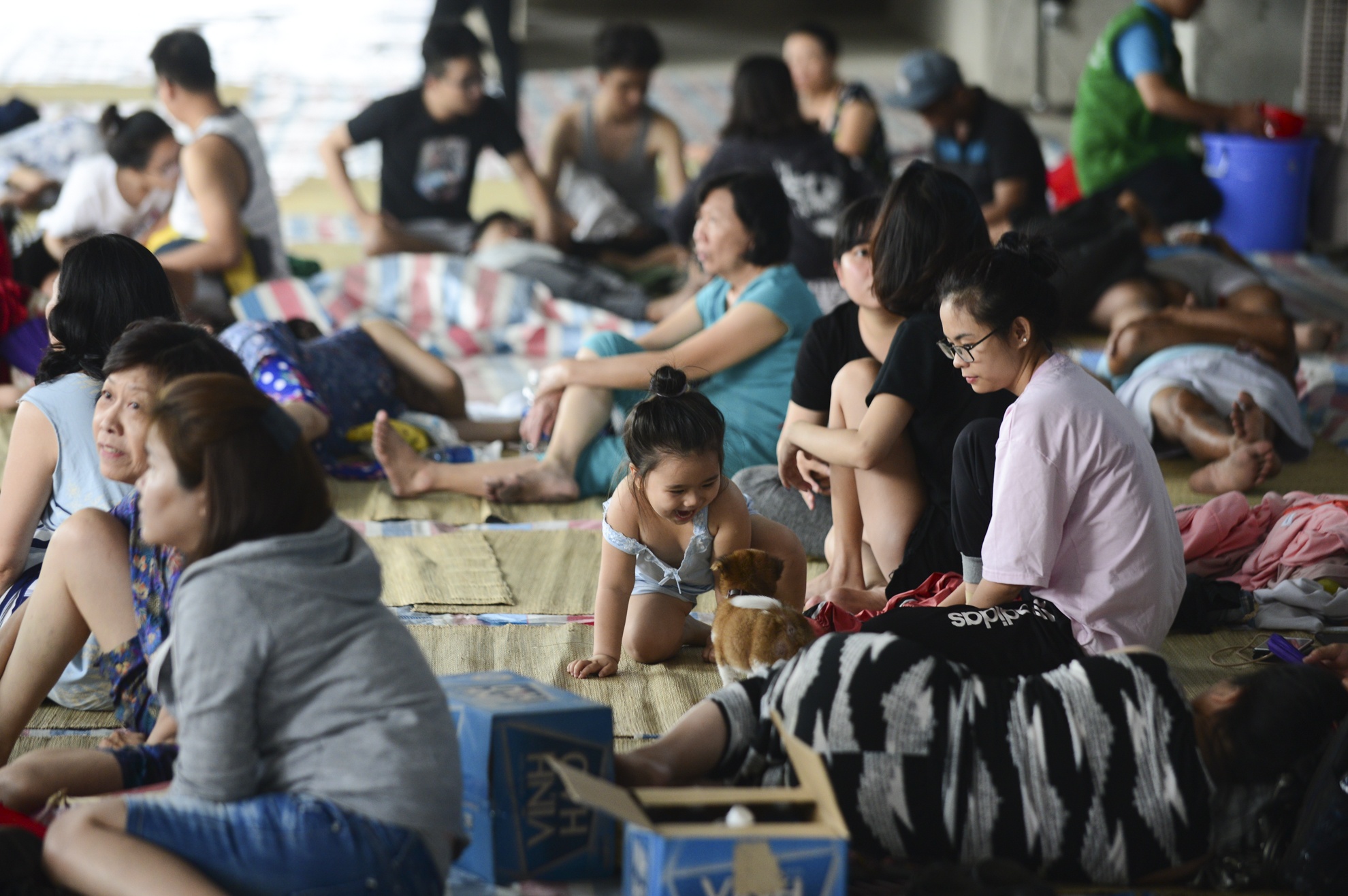 Chay chung cu Carina Plaza anh 5