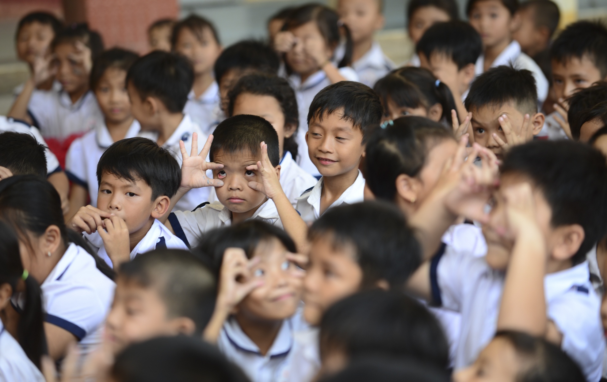 Du an sach hay anh 13