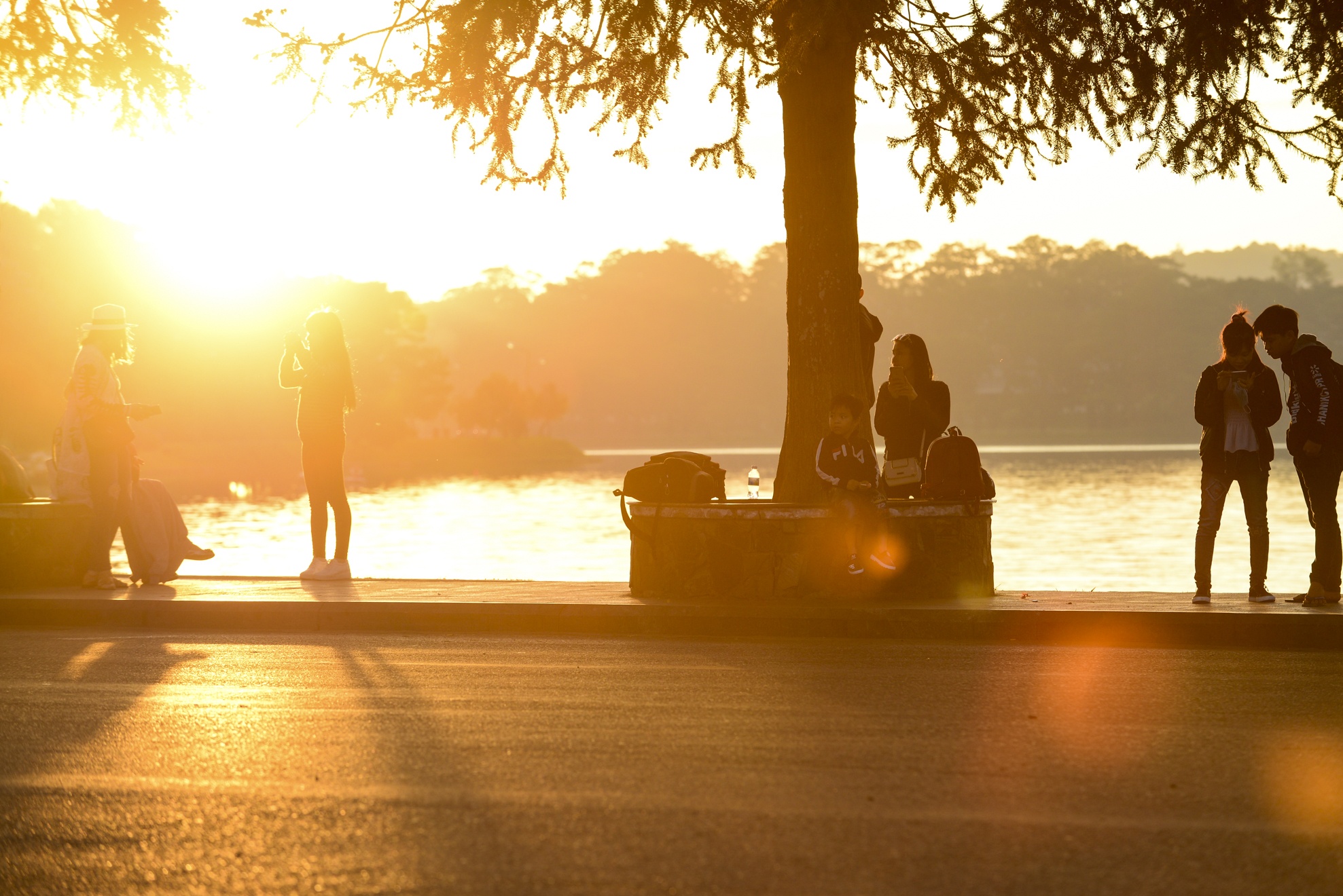 Choi le Da Lat anh 1