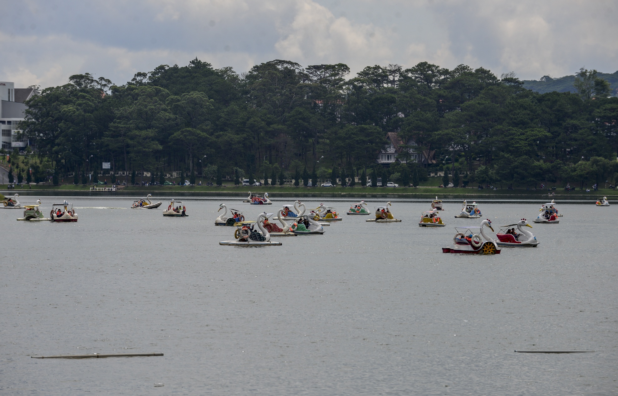 Choi le Da Lat anh 8