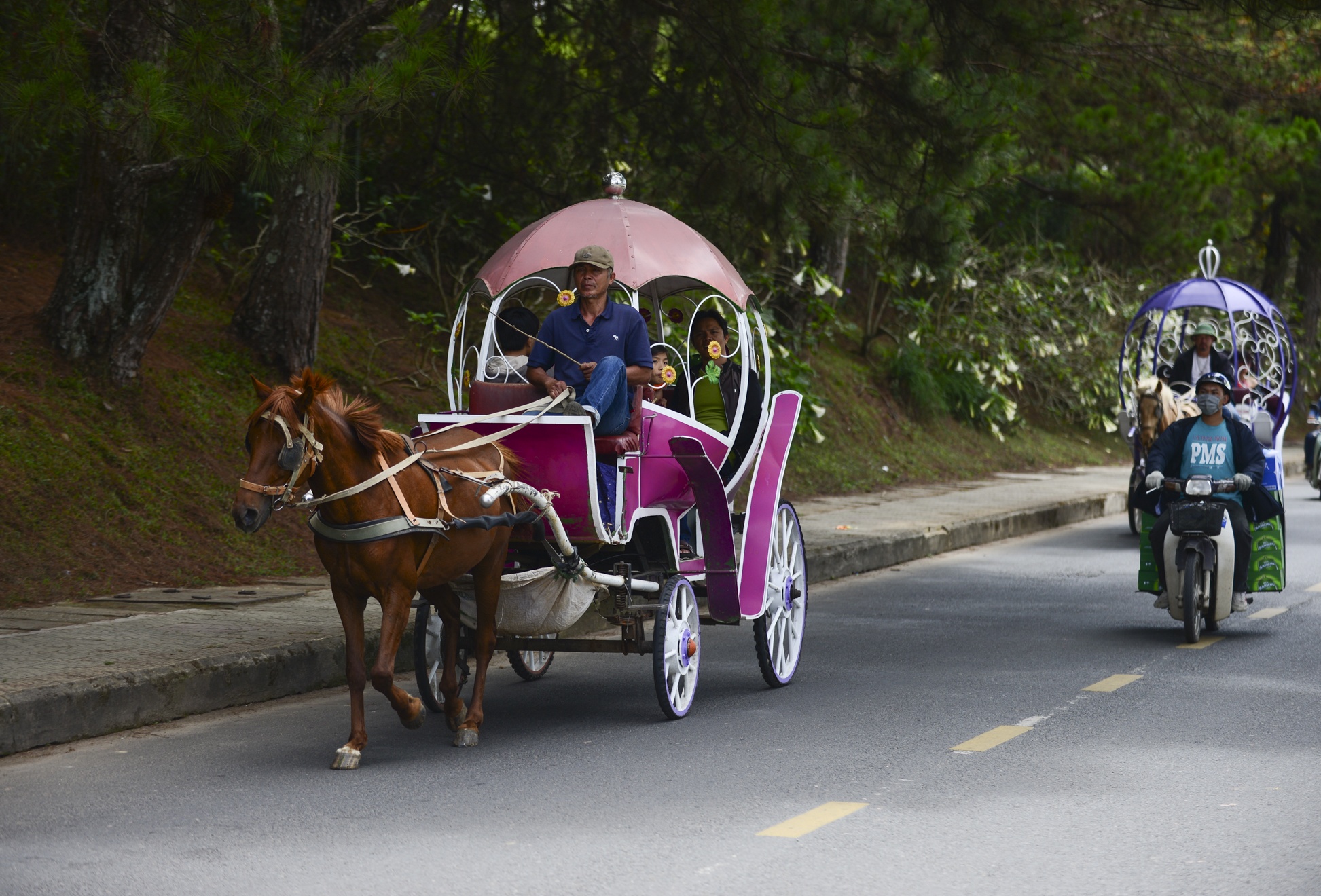 Choi le Da Lat anh 9