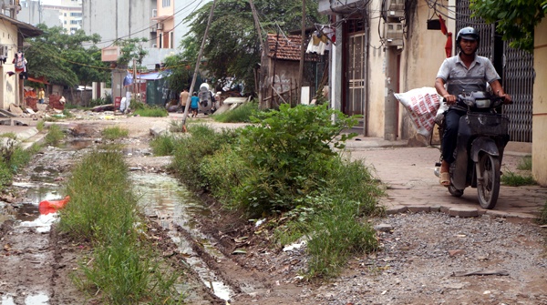 Không chỉ bị biến thành những 