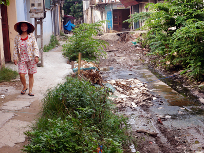 Xom boc mui giua thu do hinh anh